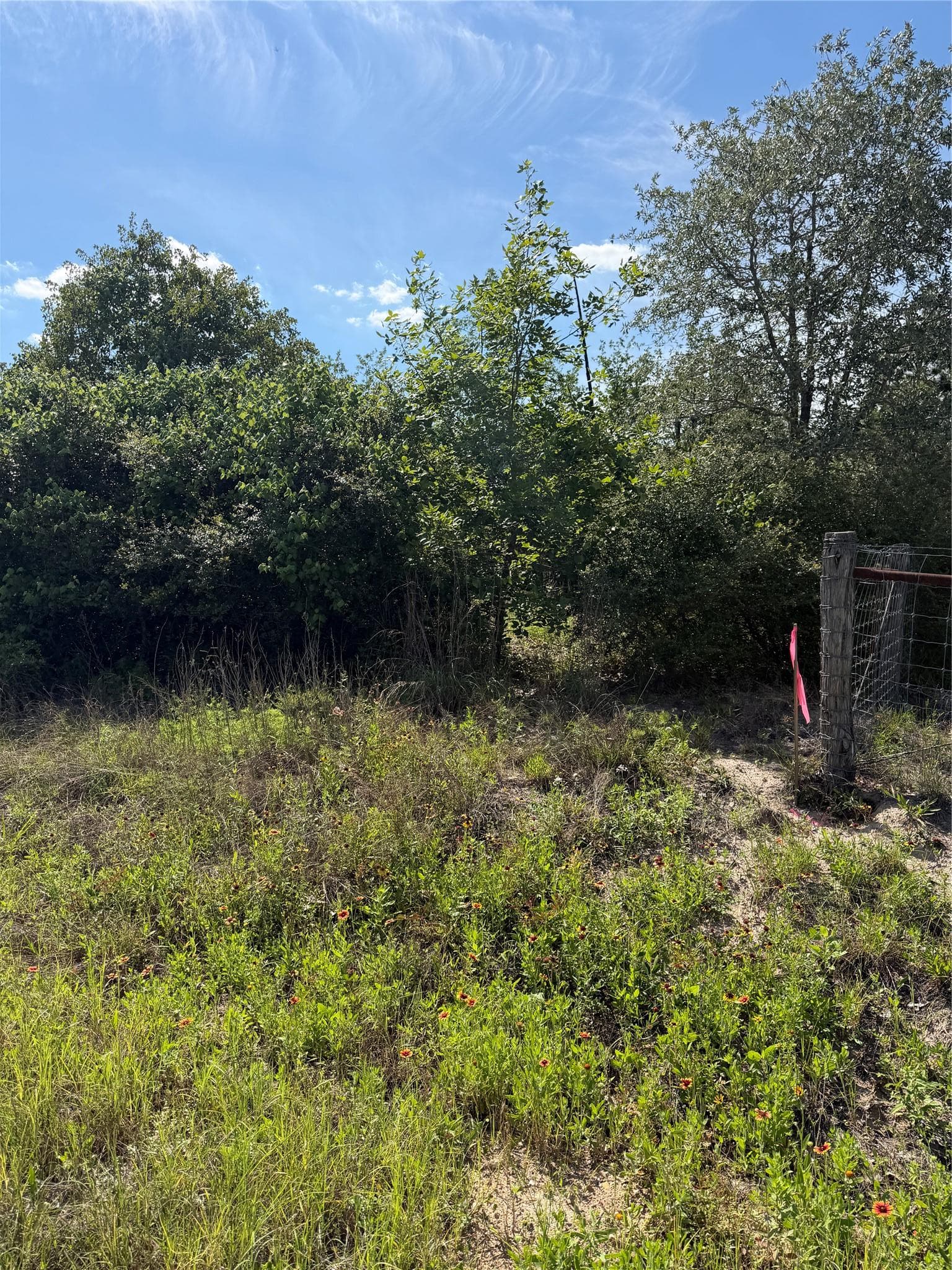 TBD Mockingbird Ln