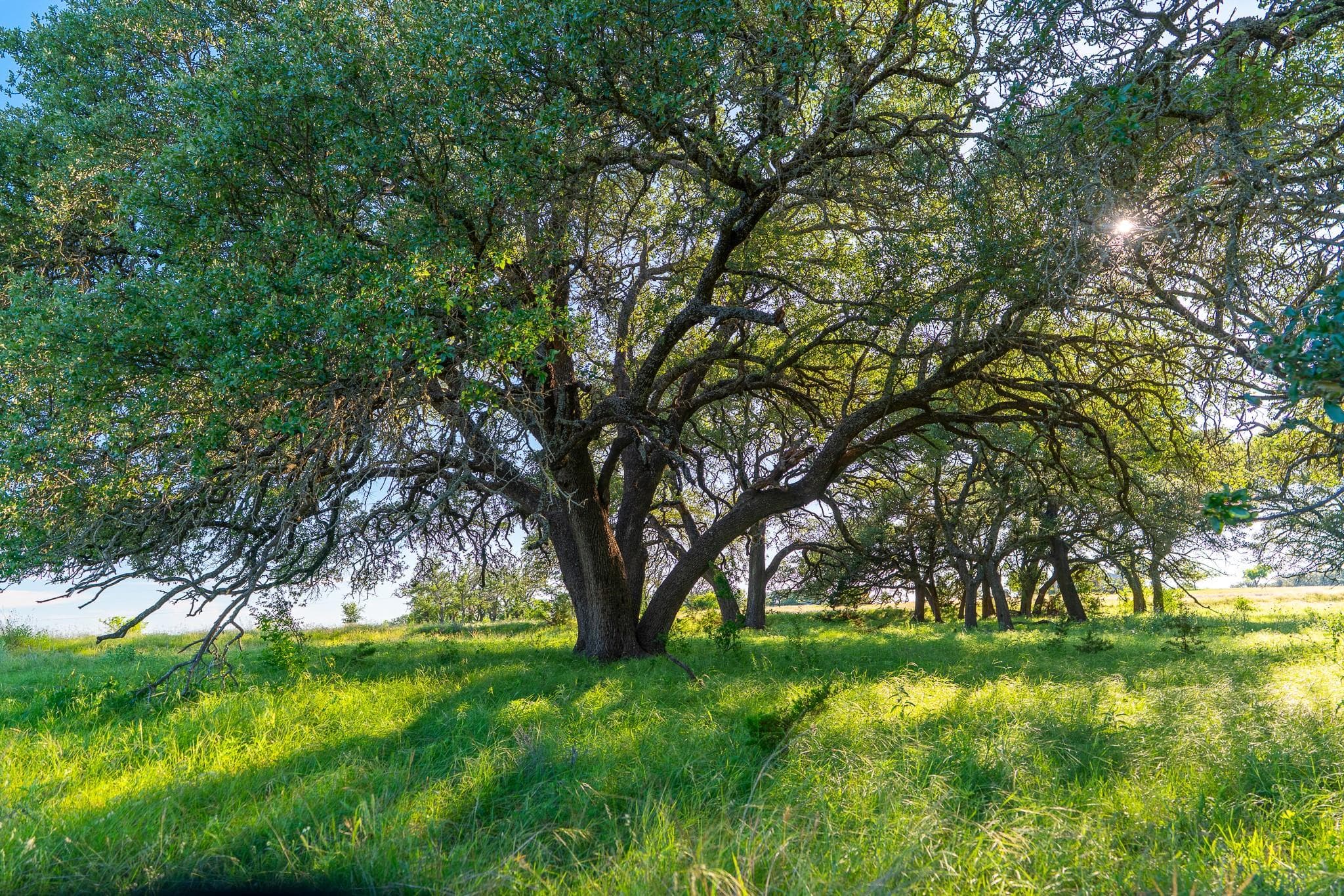 28  Feild Ranch Rd