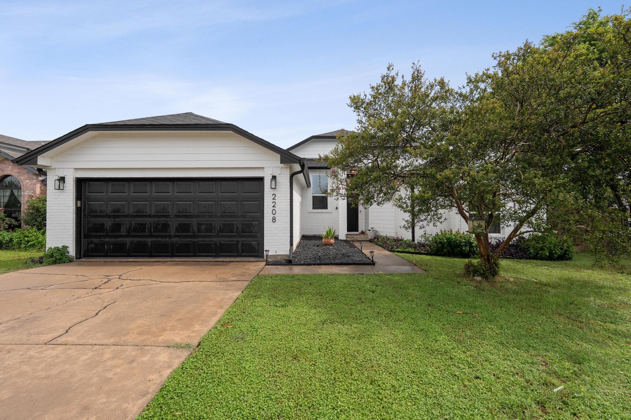 2208  Mimosa Trl