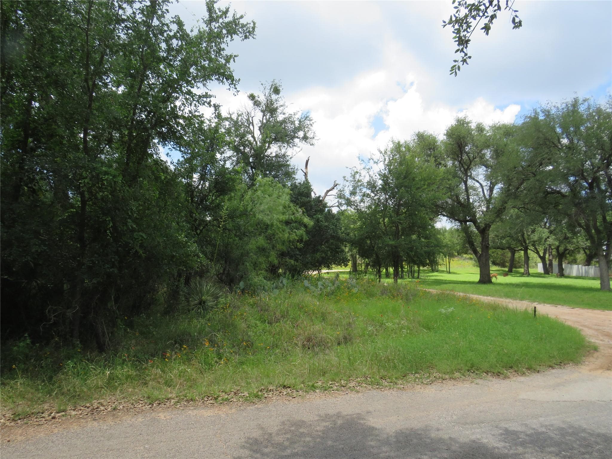 Lot 163  Buena Vista Dr
