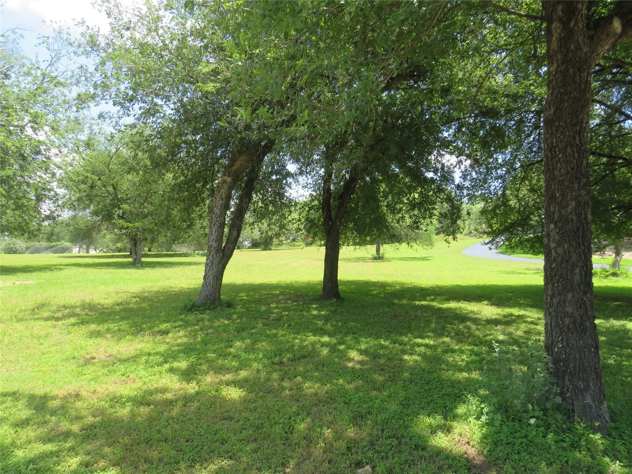 Lot 67 Bridgepoint Dr #3