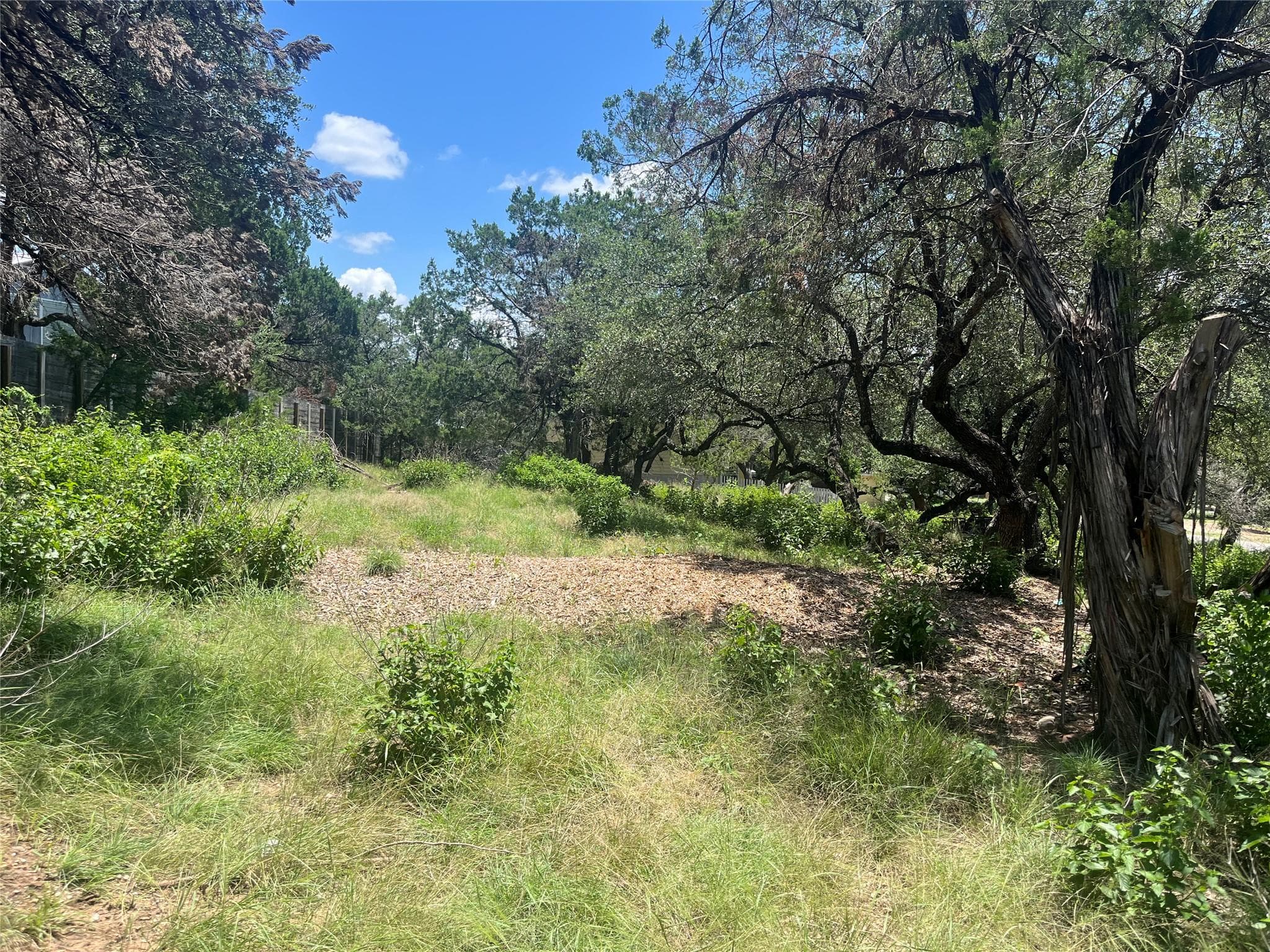 19508  Timberline Dr