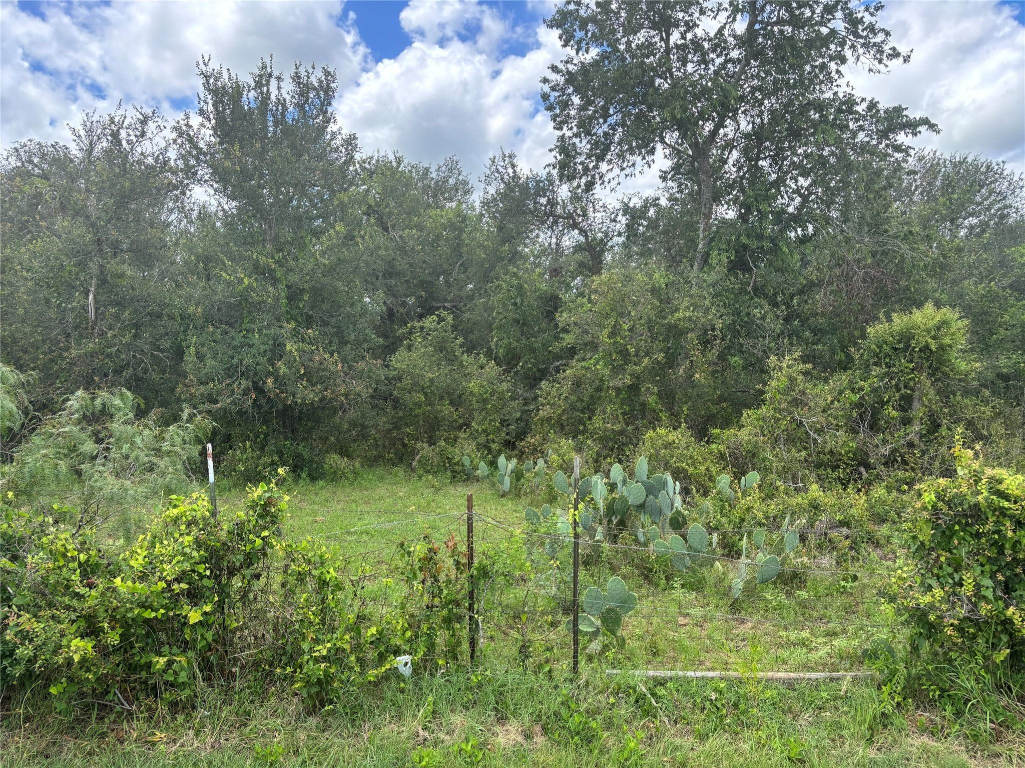TBD  CR 472 None