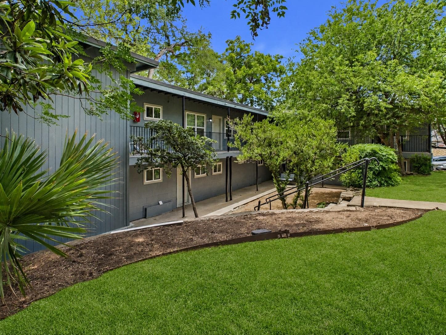 3008 Cedar St #3