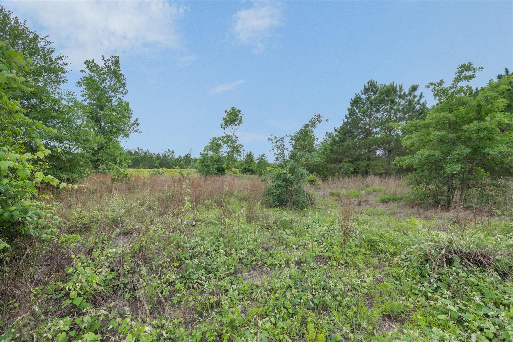 TBD Lot 20c  County Rd