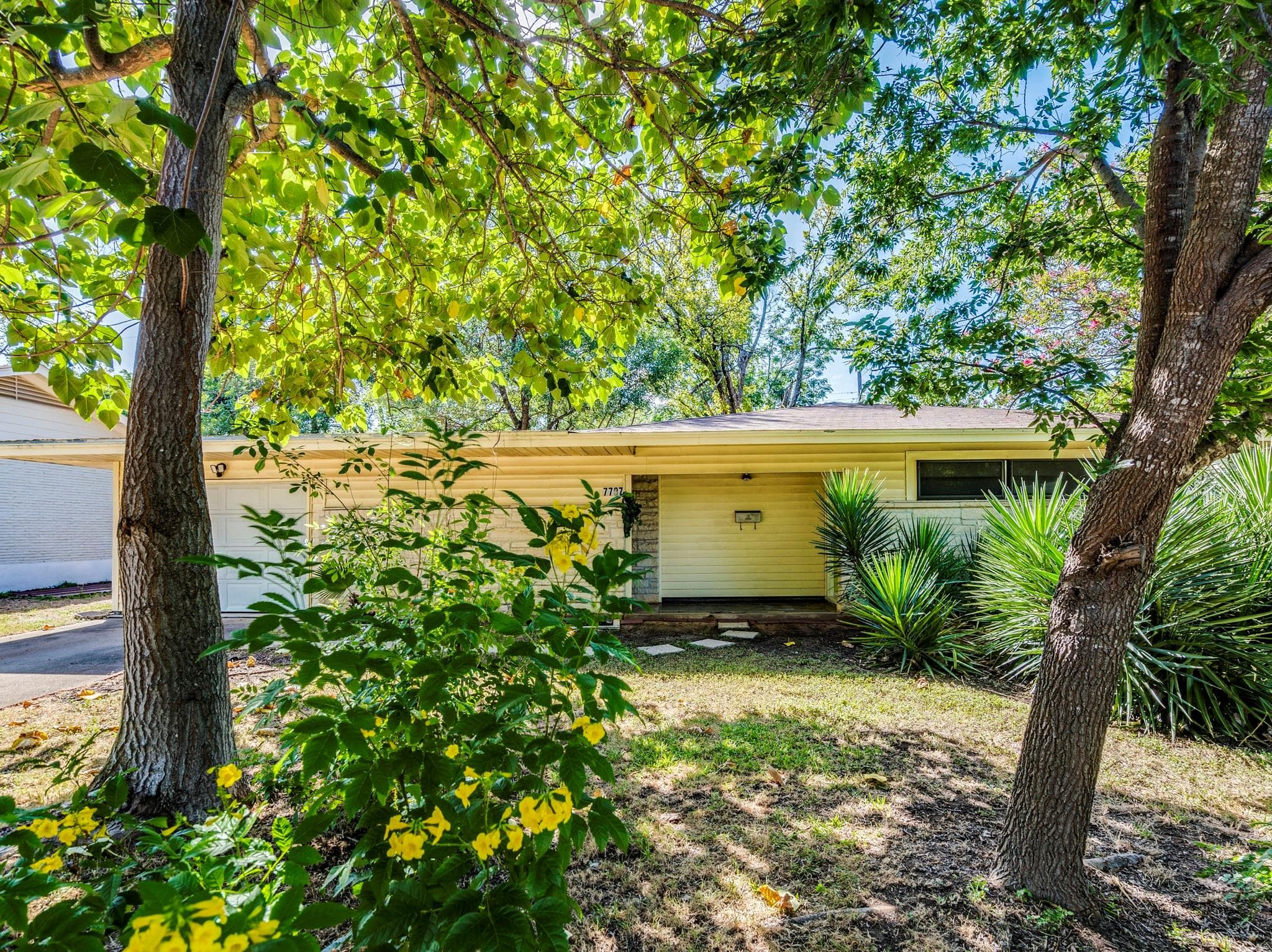 7707  Tisdale Dr