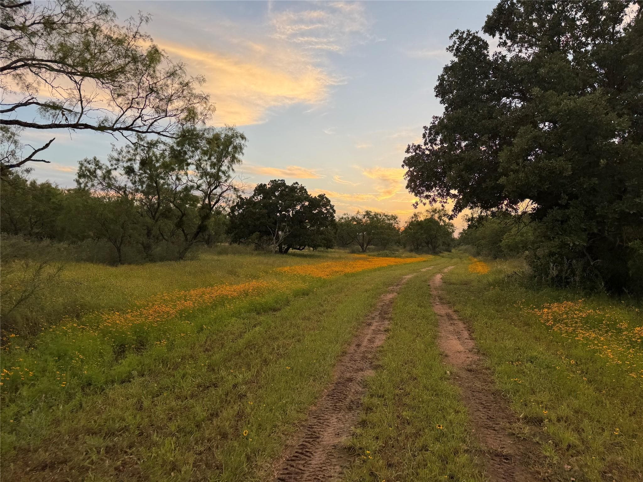 TBD  FM 1980 tract 1 None