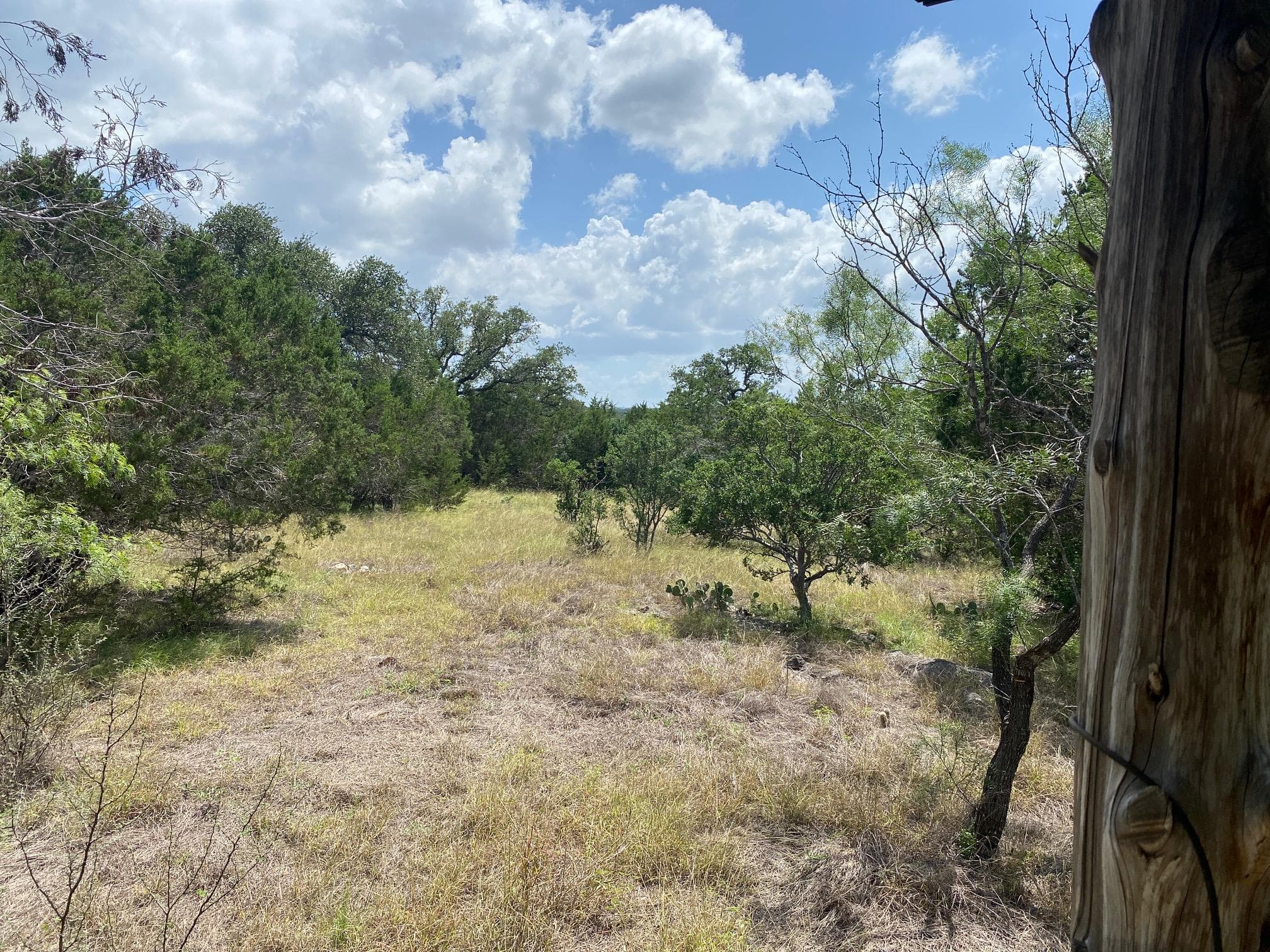 Lot 31  Pedernales Oaks Rd Rd