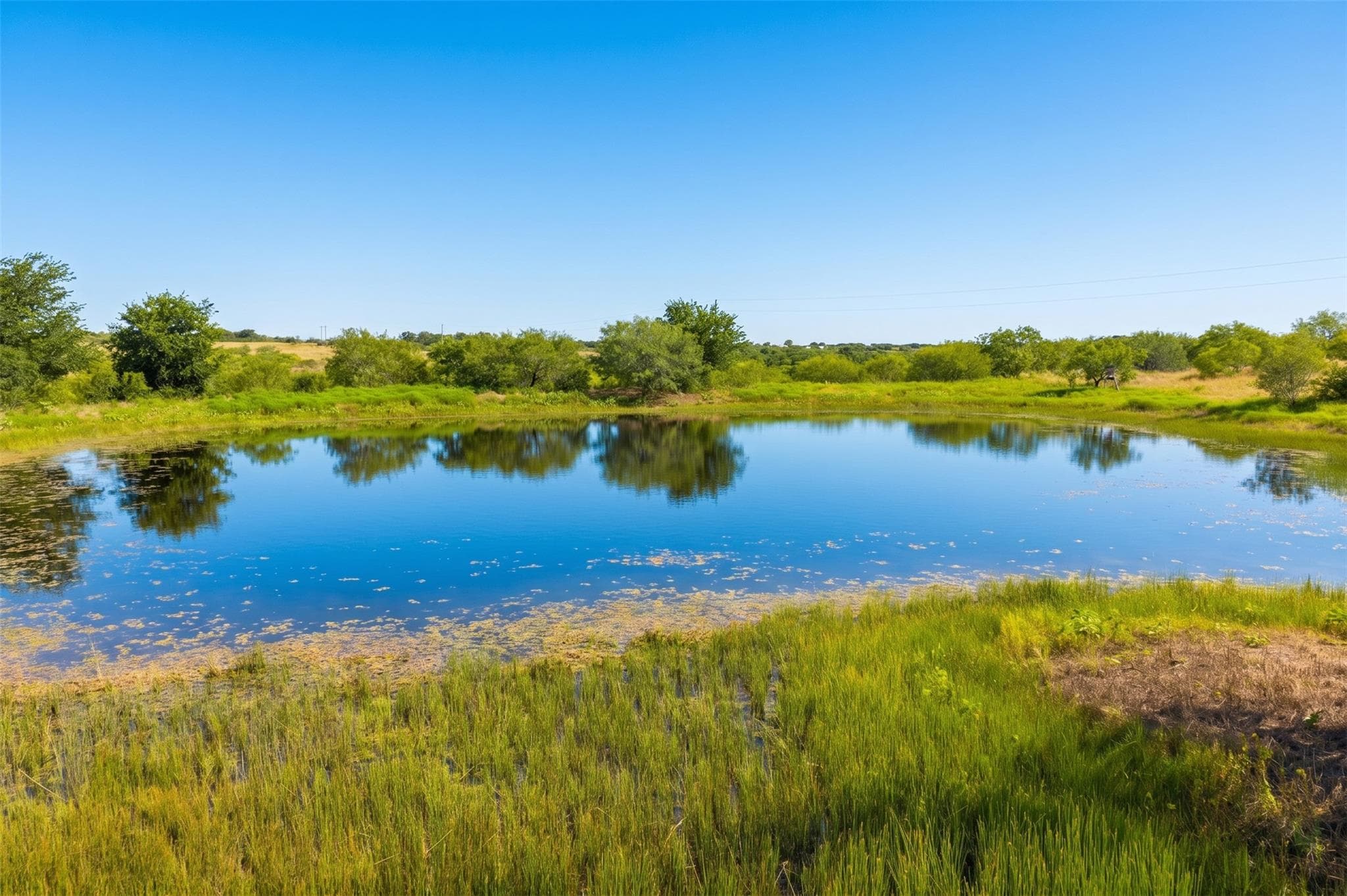 1854 LOT 4 County Road 104 None