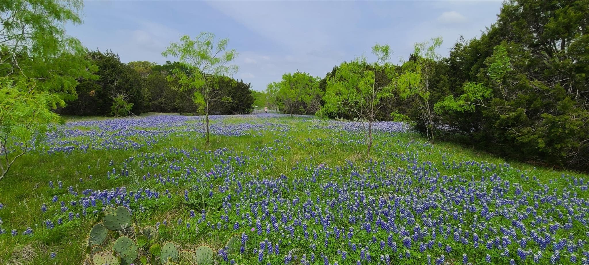 TBD US Highway 190 E None