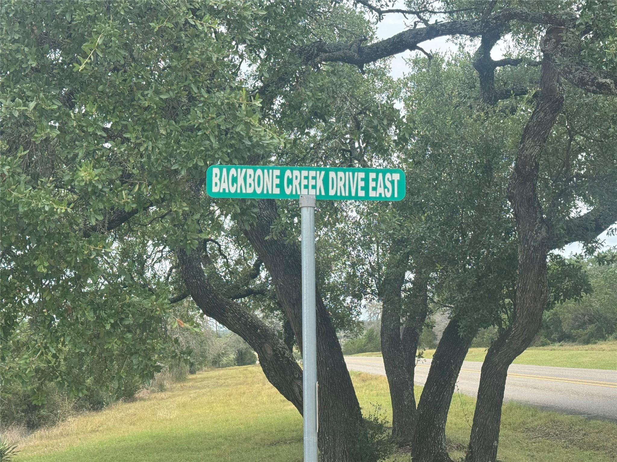 5  Back Bone creek Dr