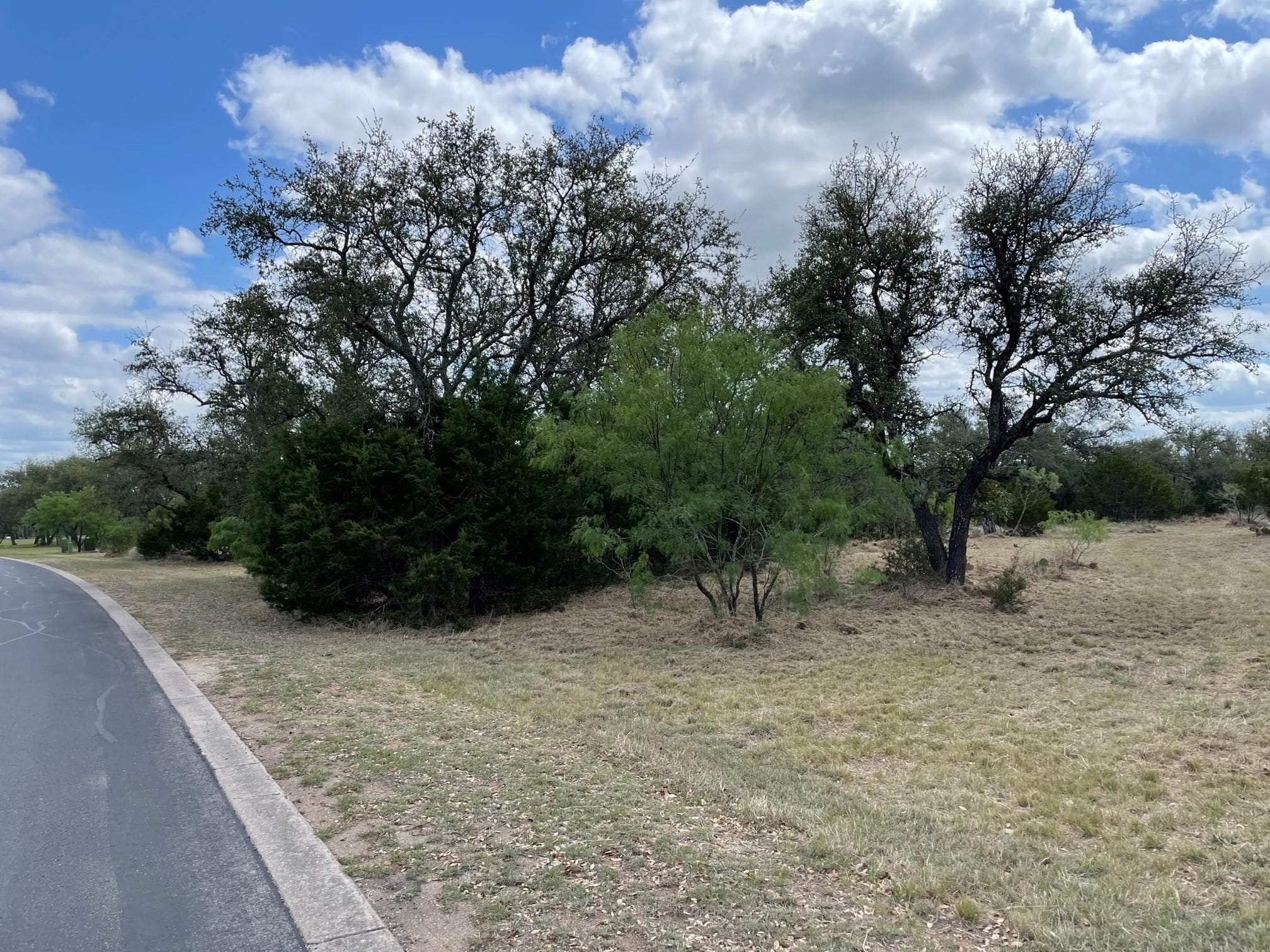302  Vista View Trl