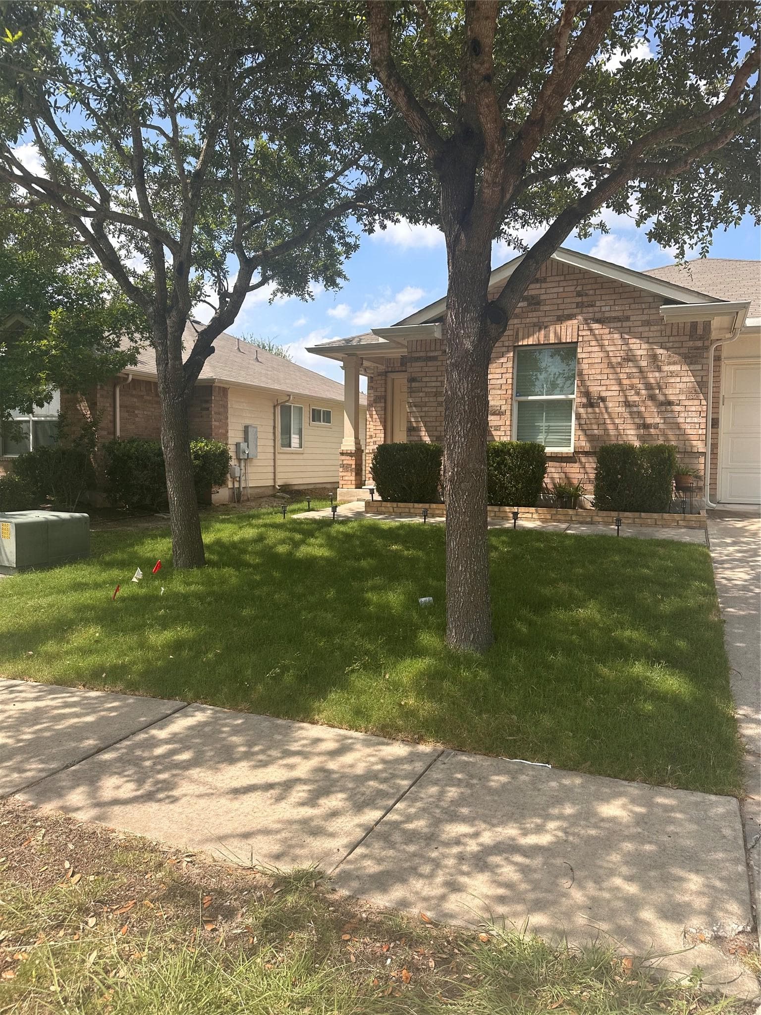 13228 Forest Sage St