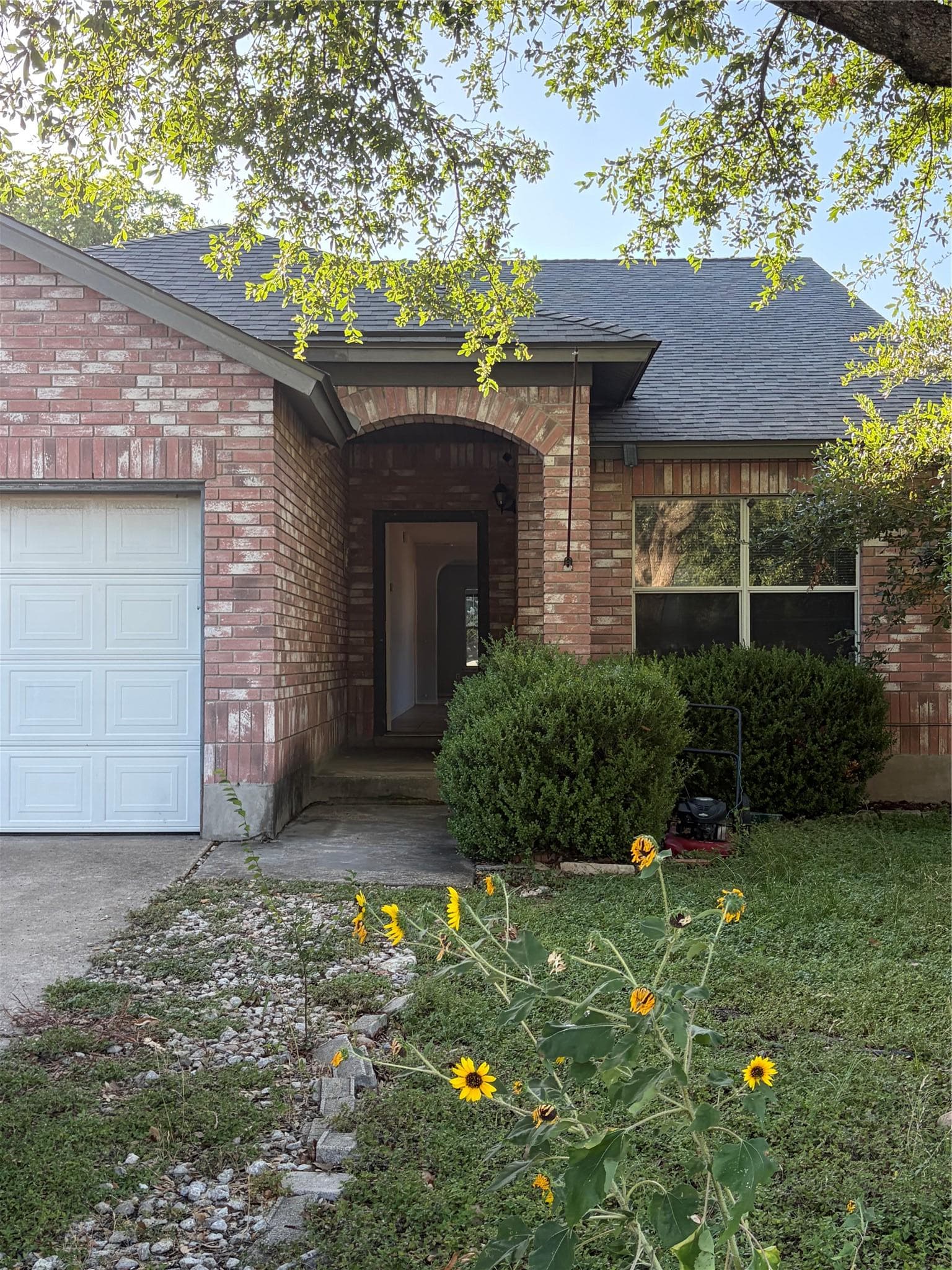 3207  Settlement Dr