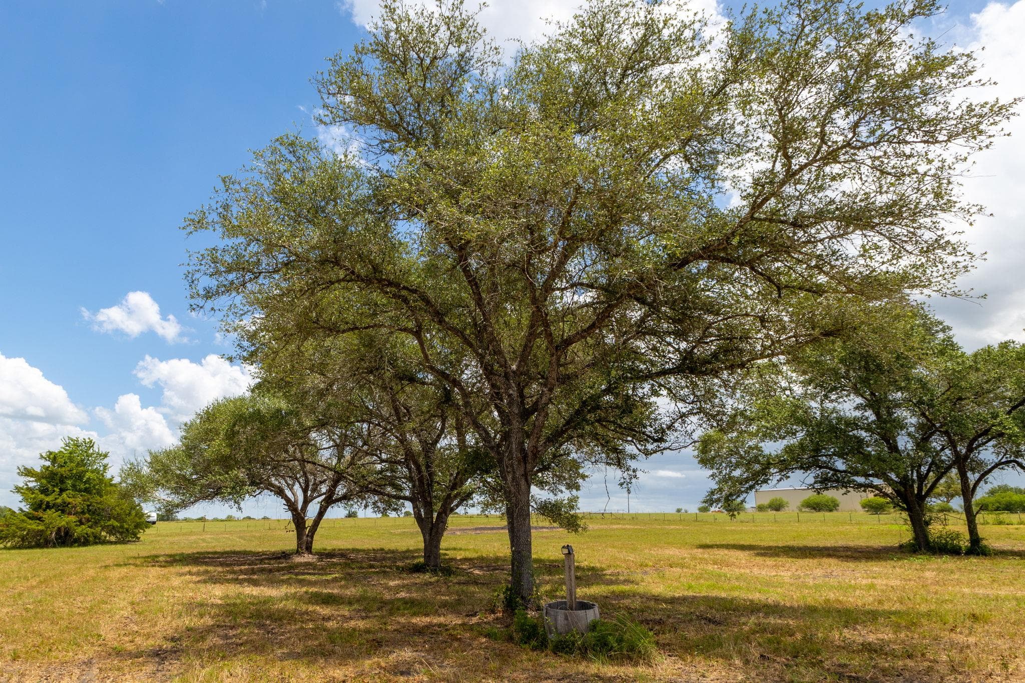 1021 E Old Hallettsville Rd