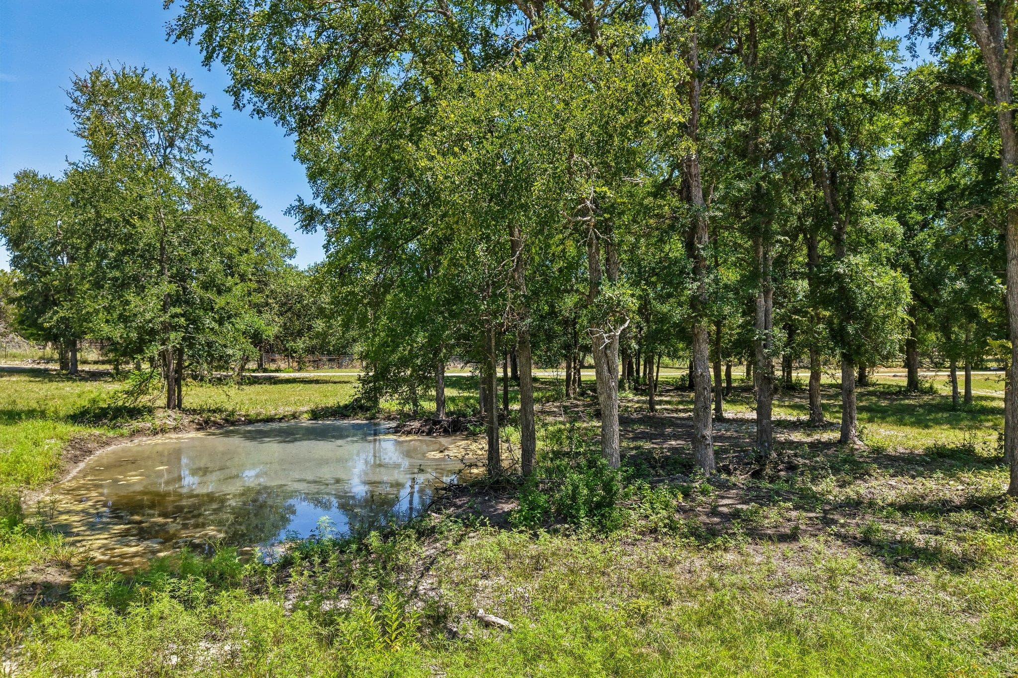 9240  County Road 272 None
