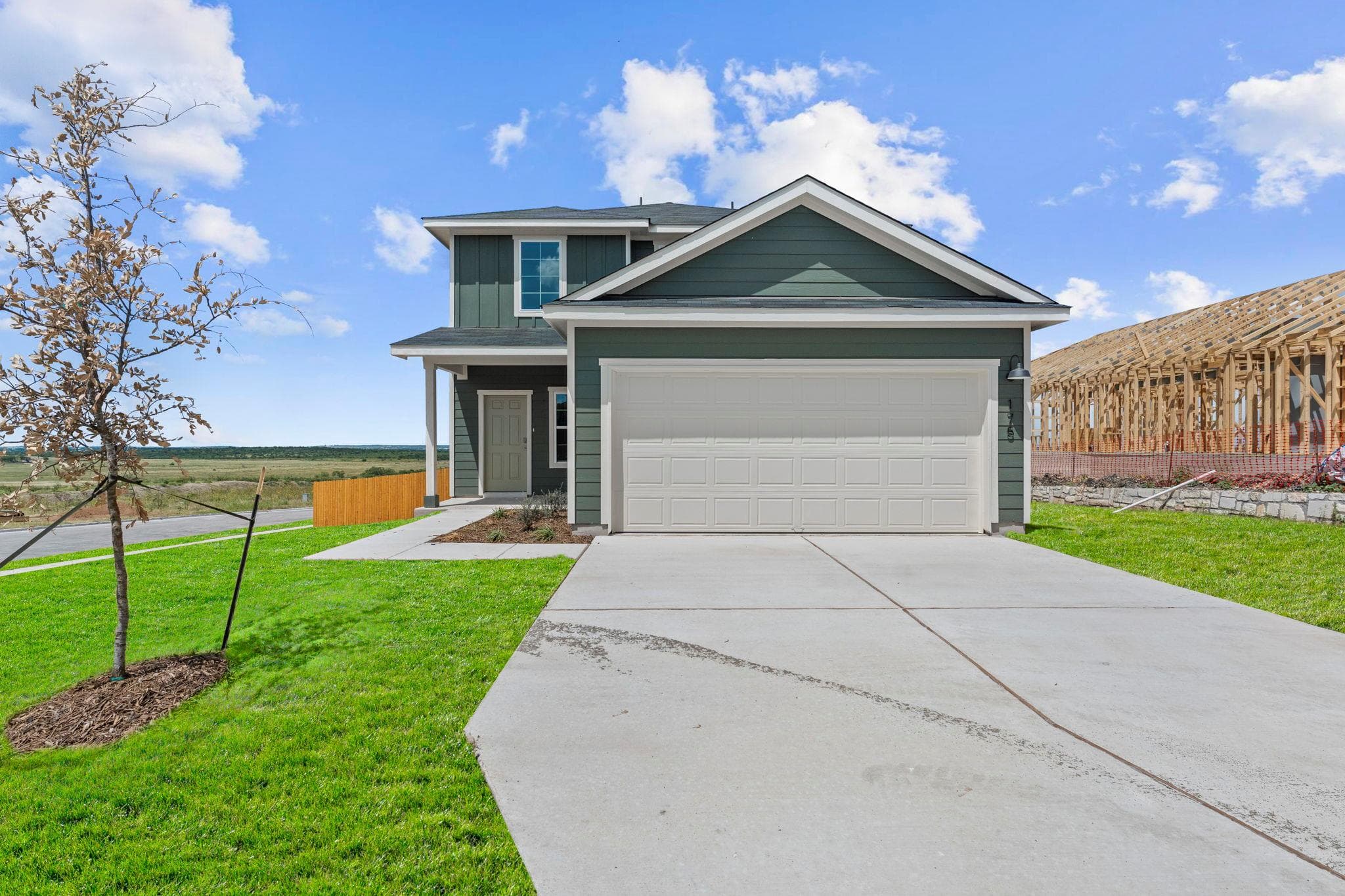 175  Arnold Loop