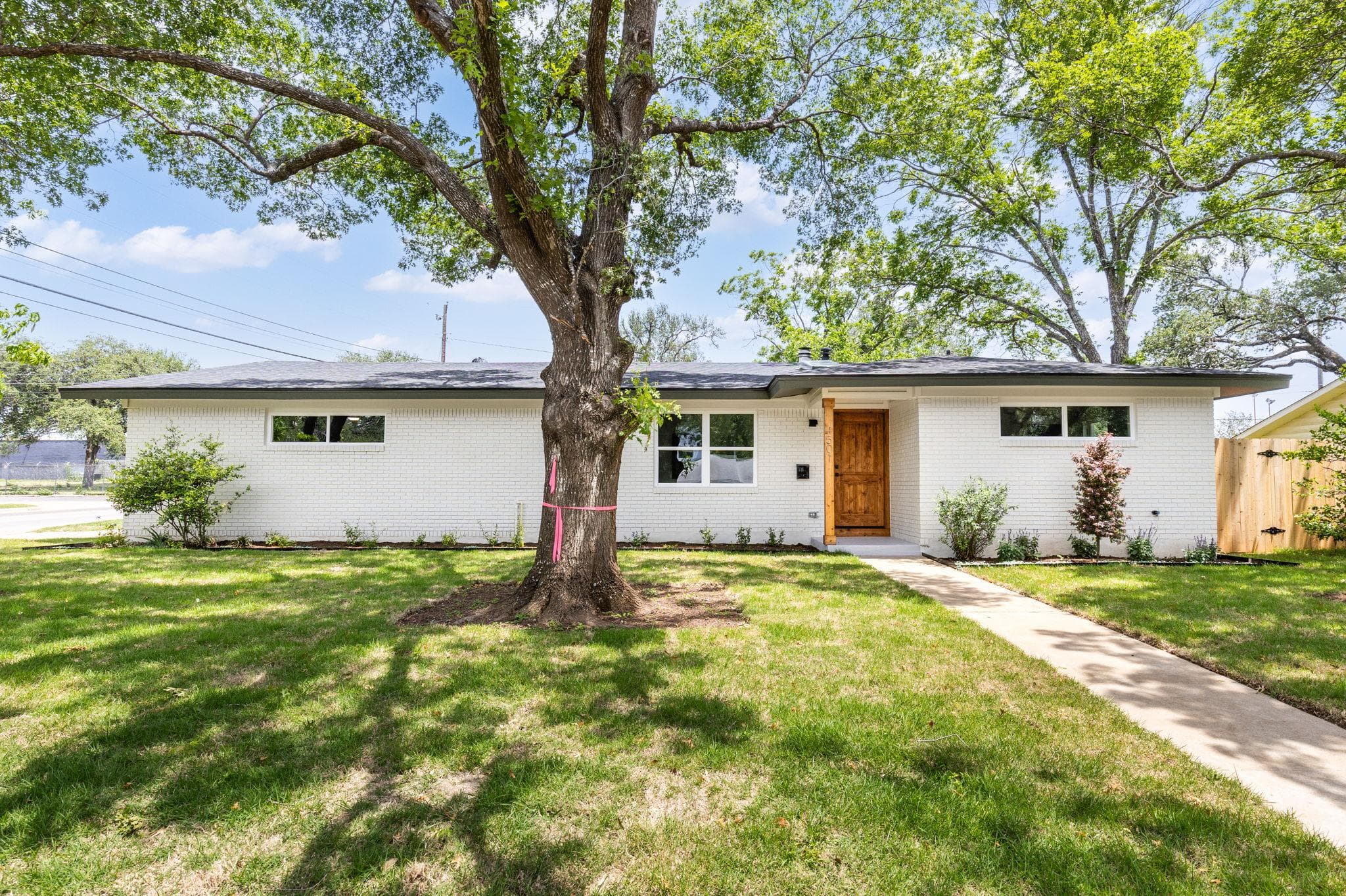 4501 PackSaddle None