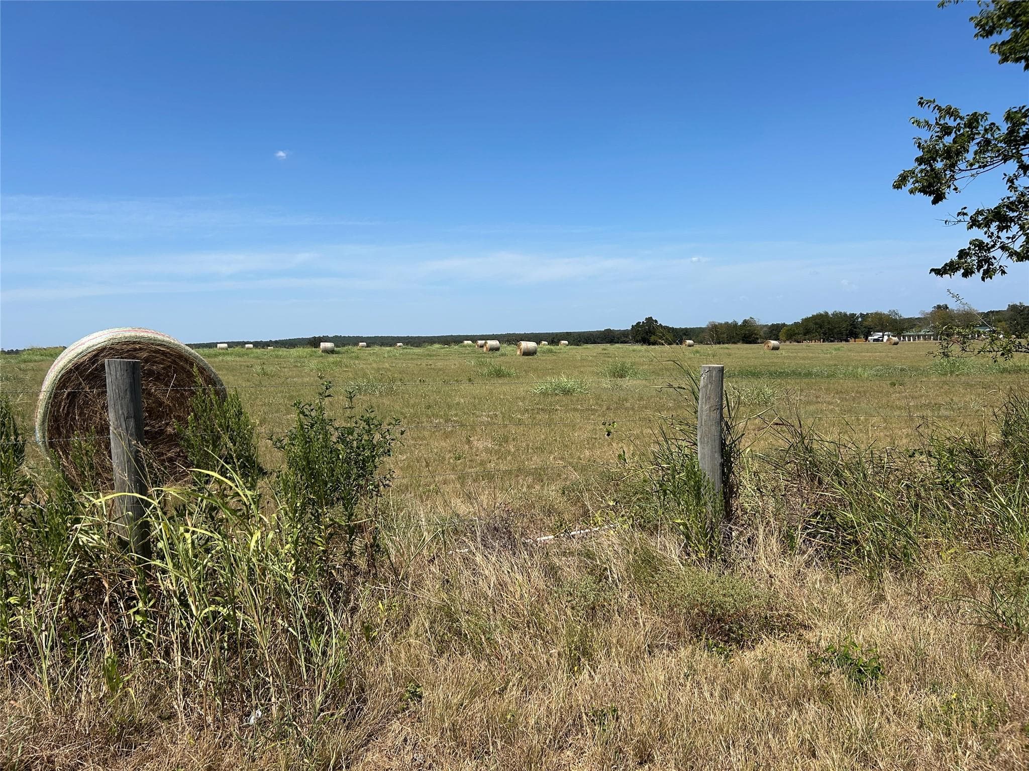 TBD E SH 21 Hwy