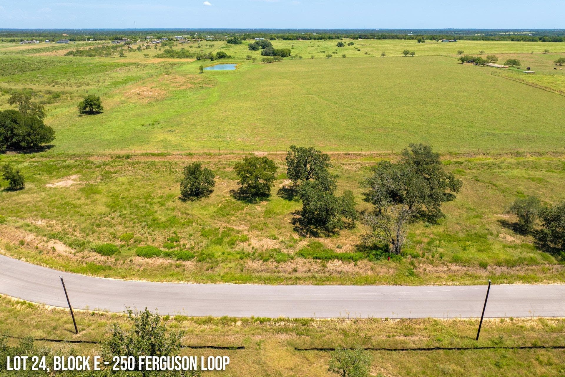 250  Ferguson Loop