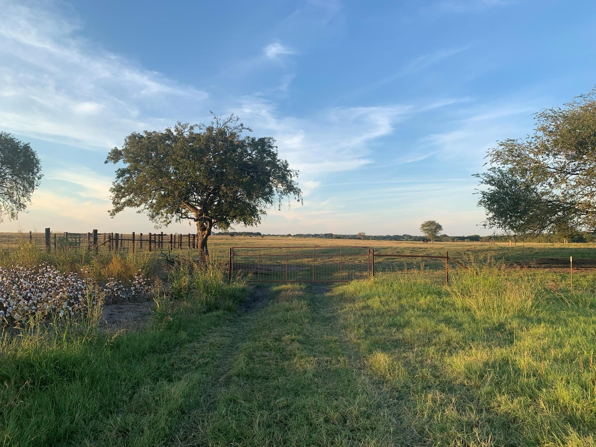 TBD2  County Road 154 None