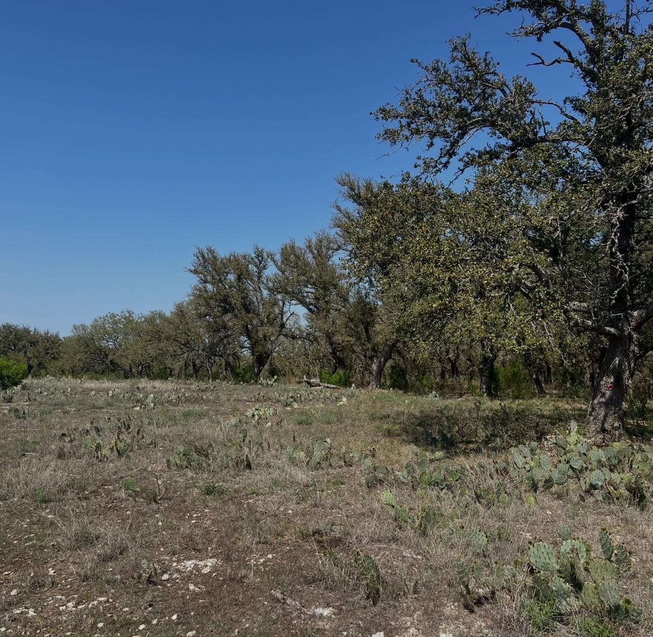 Lot 42 Waterbuck Way