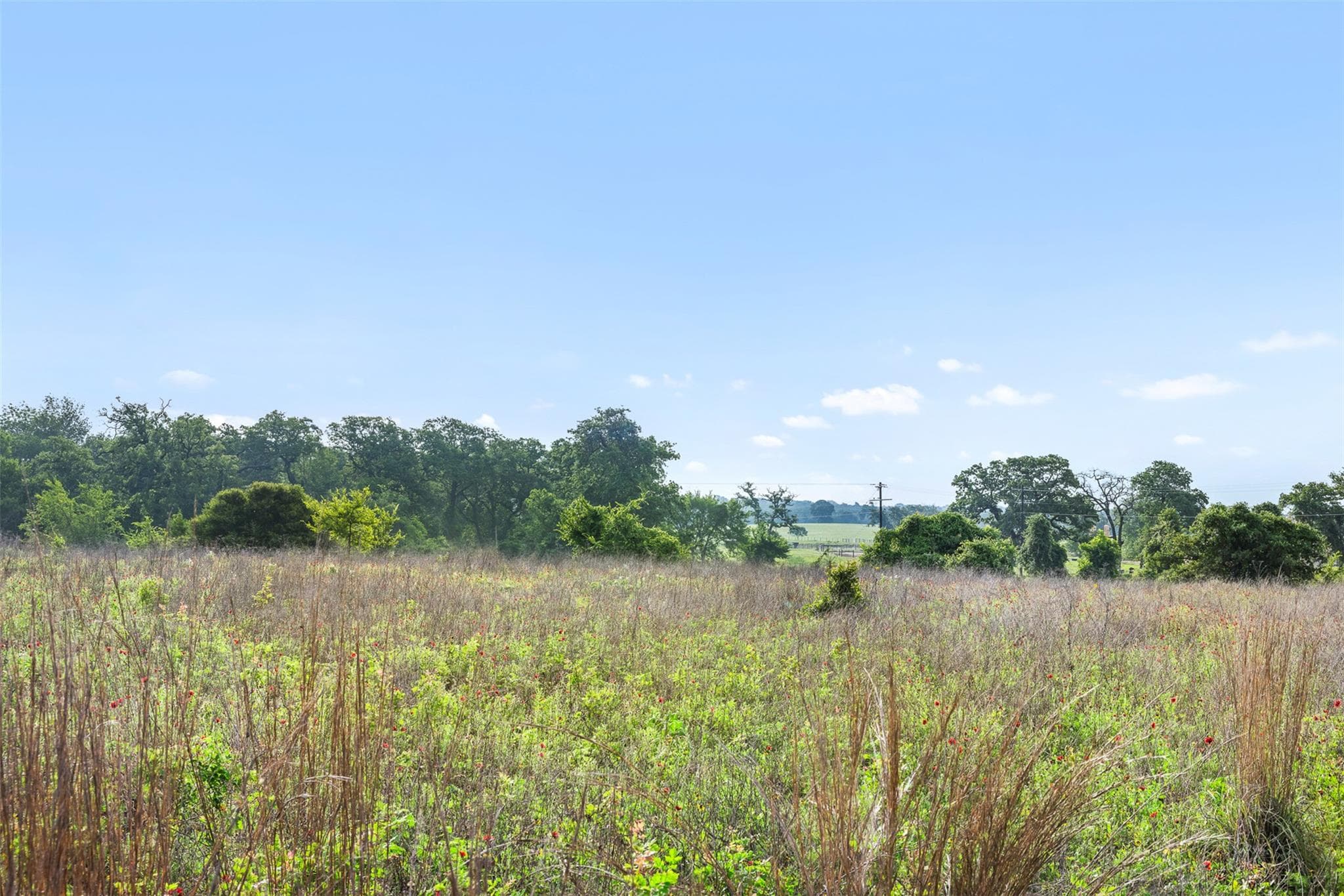 5241  County Road 358 Crst