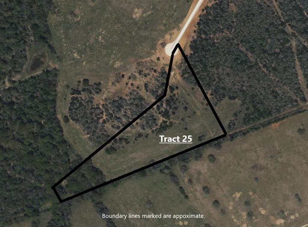 Tract 25 Walleye Creek None
