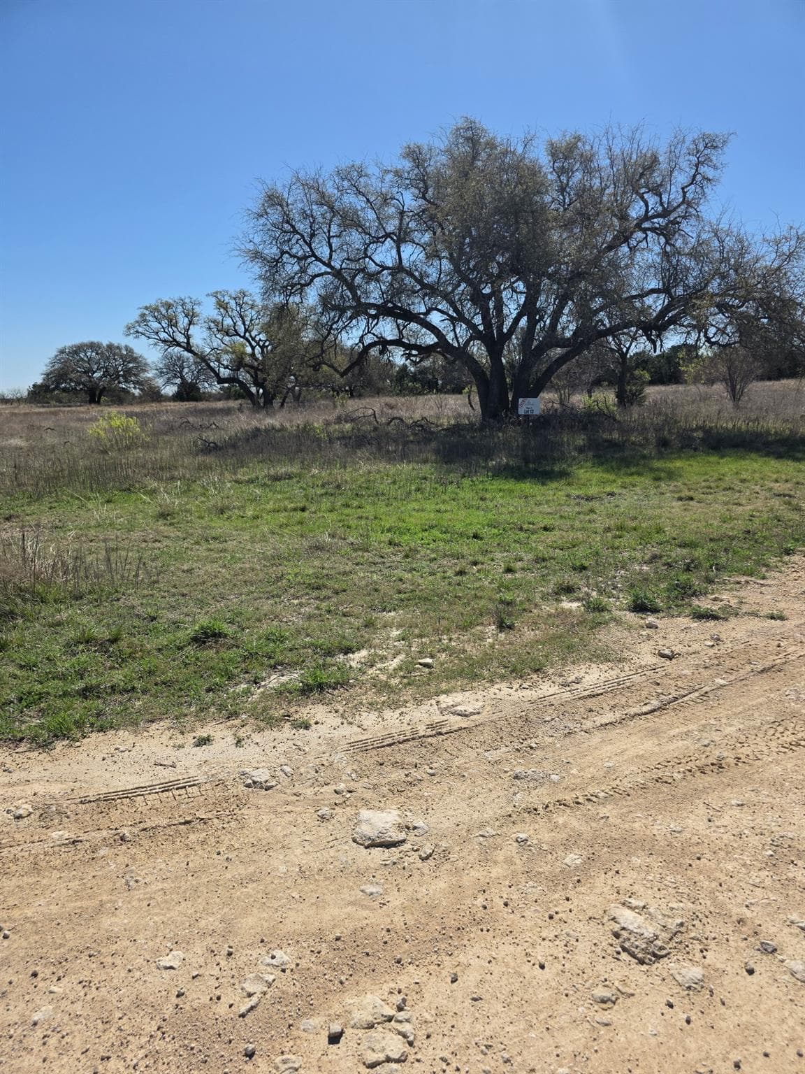 Lot 13 Pr 4212 None