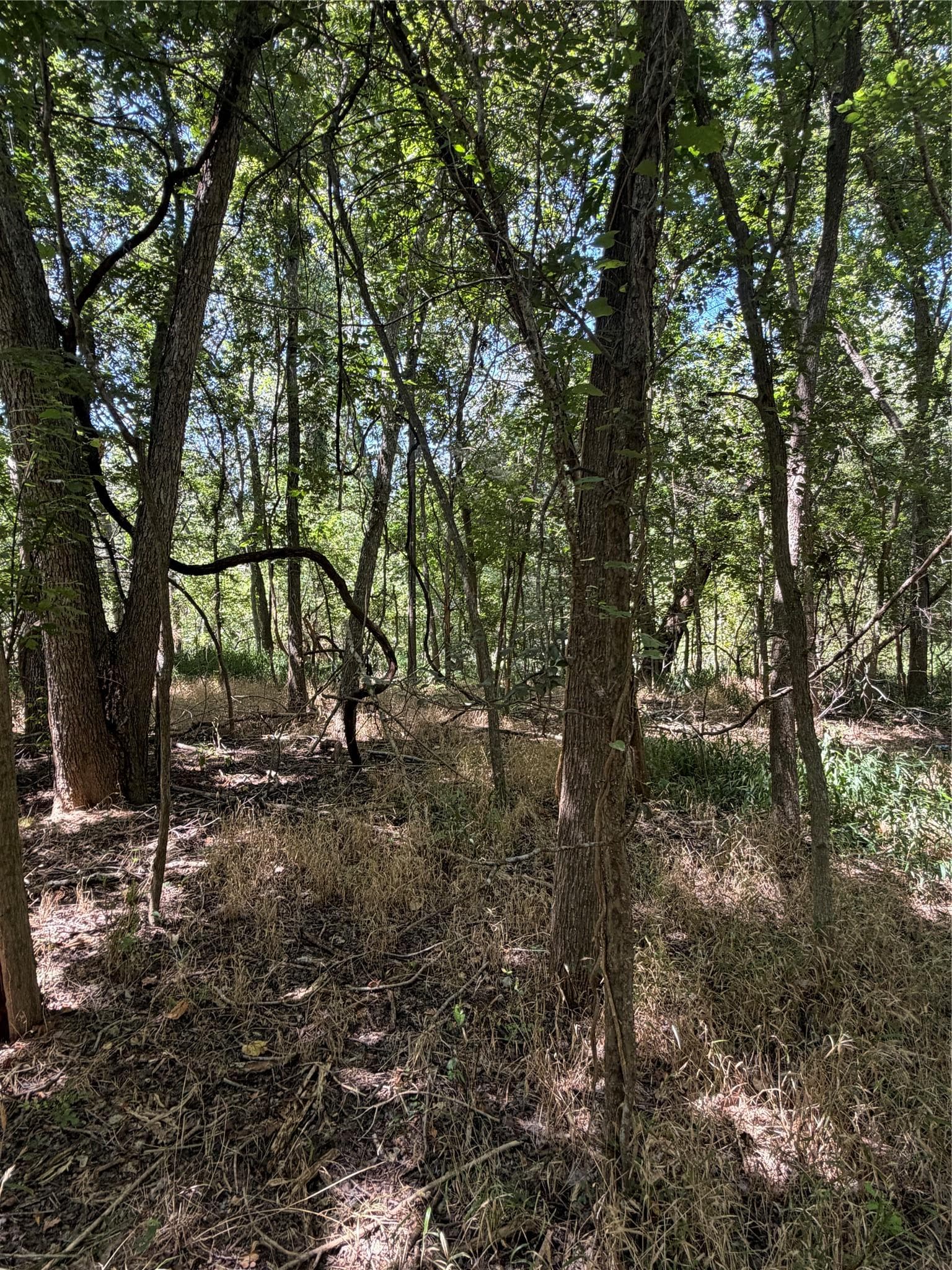 Lot 677  Kaukonahua Ln