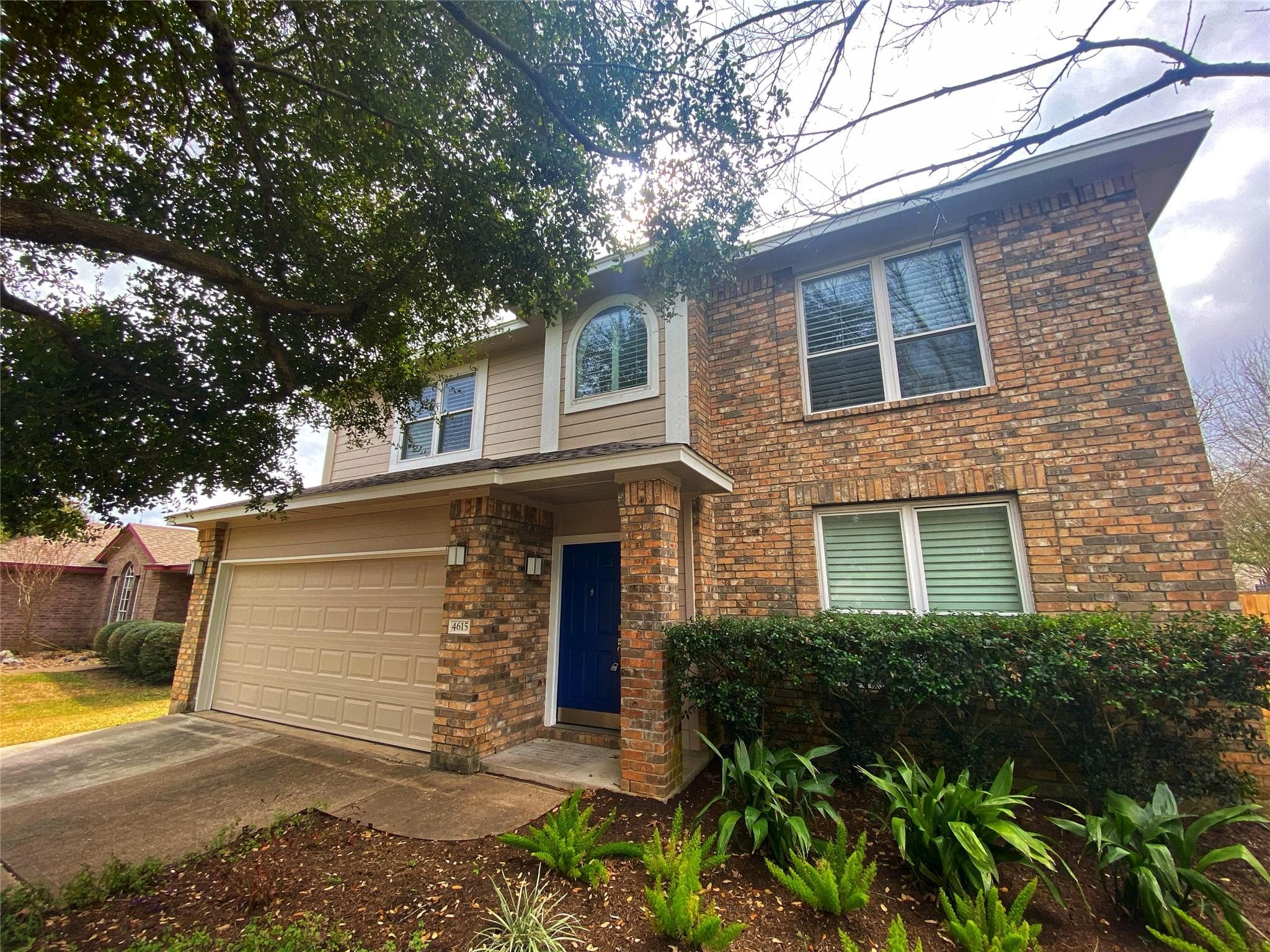 4615  Tello Path