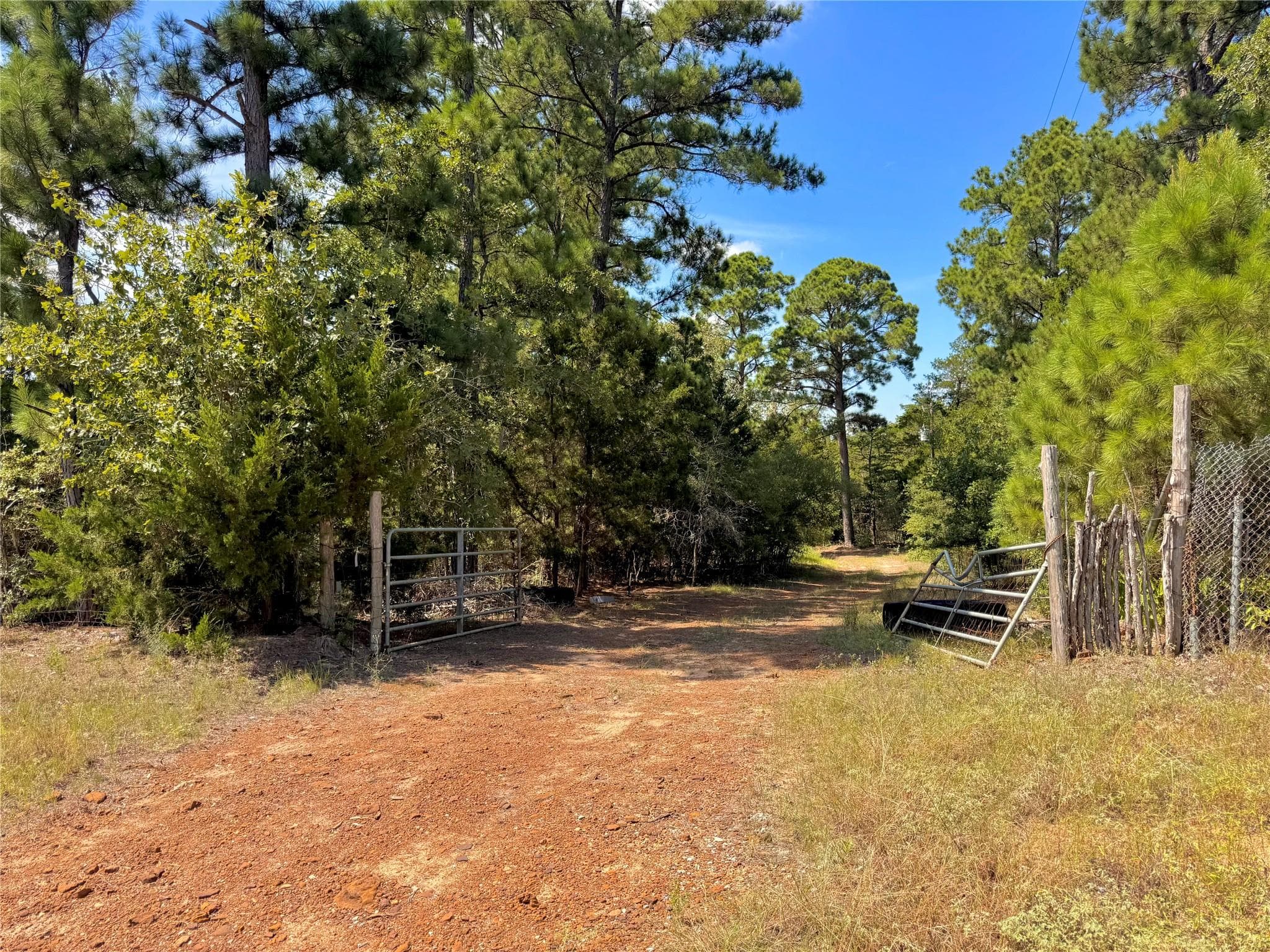445  Pine Valley Loop