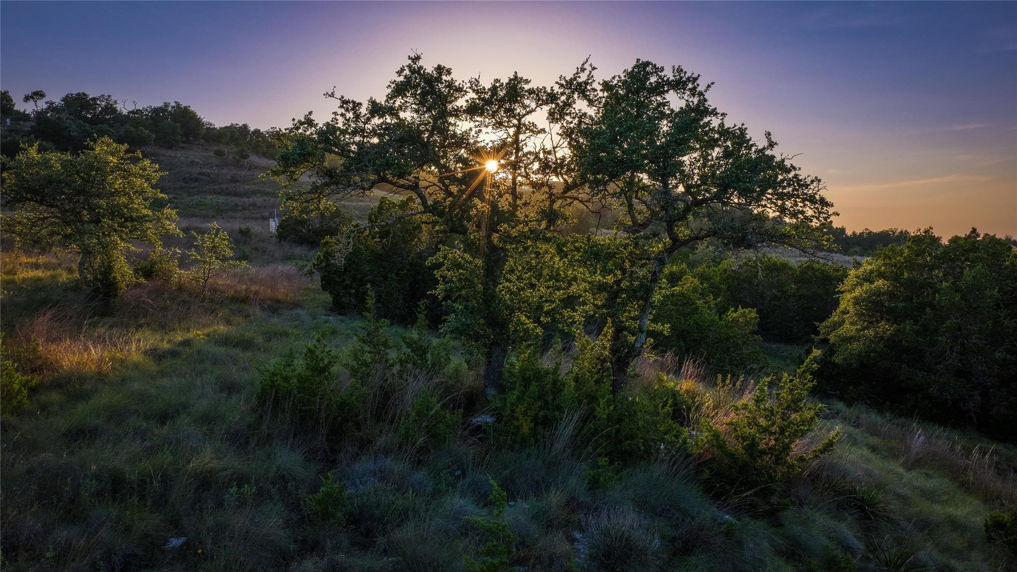 LOT 95 Big Sky None