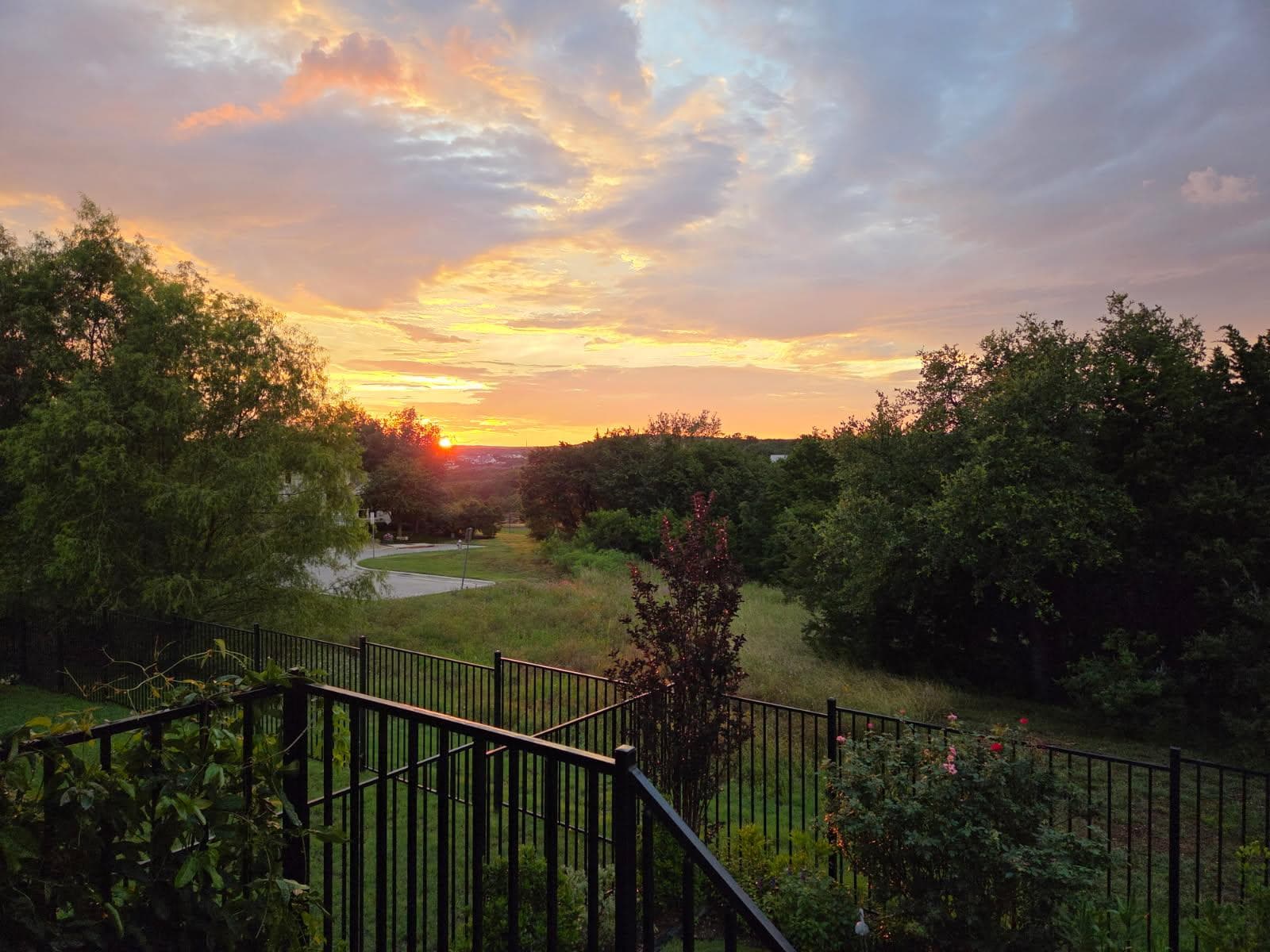 4309 Orange Blossom Pass