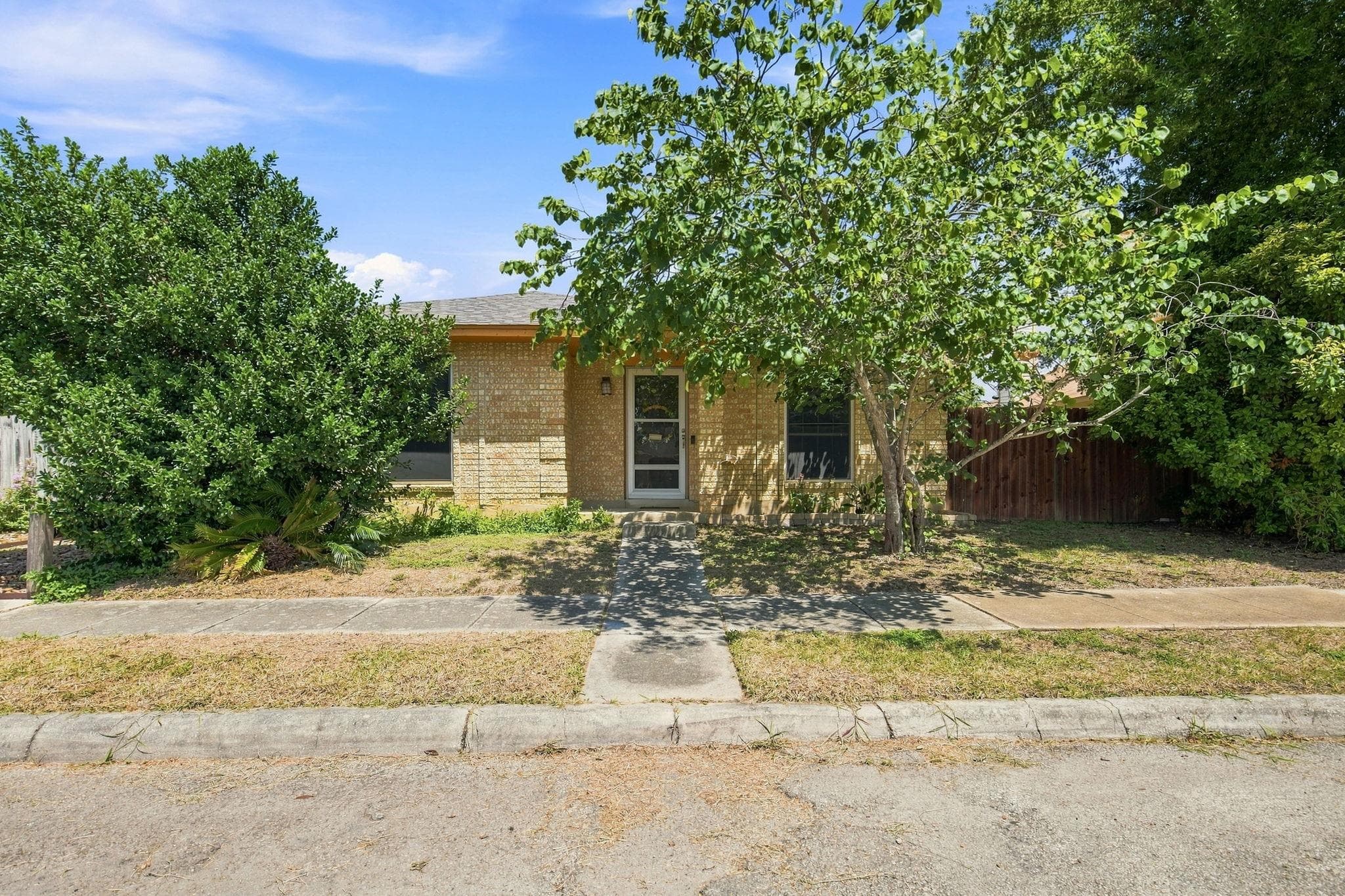 141  Meadowland None