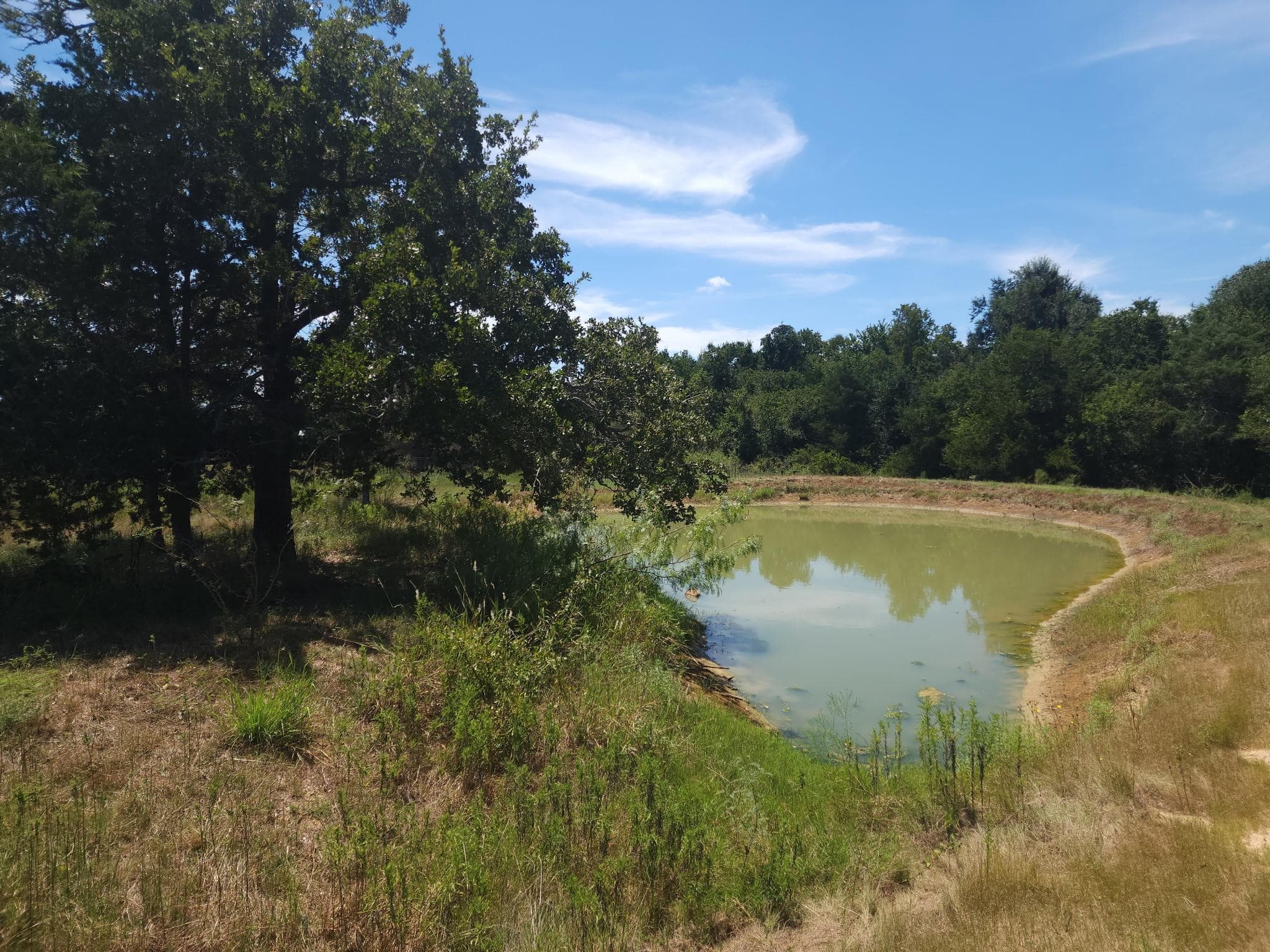 668 Fairview Dr