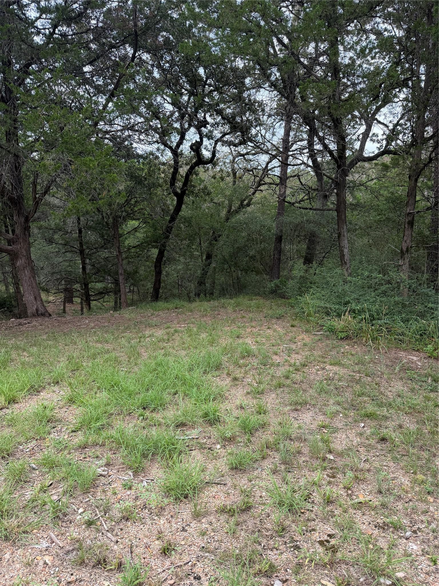 Lot 294  Aka Ct