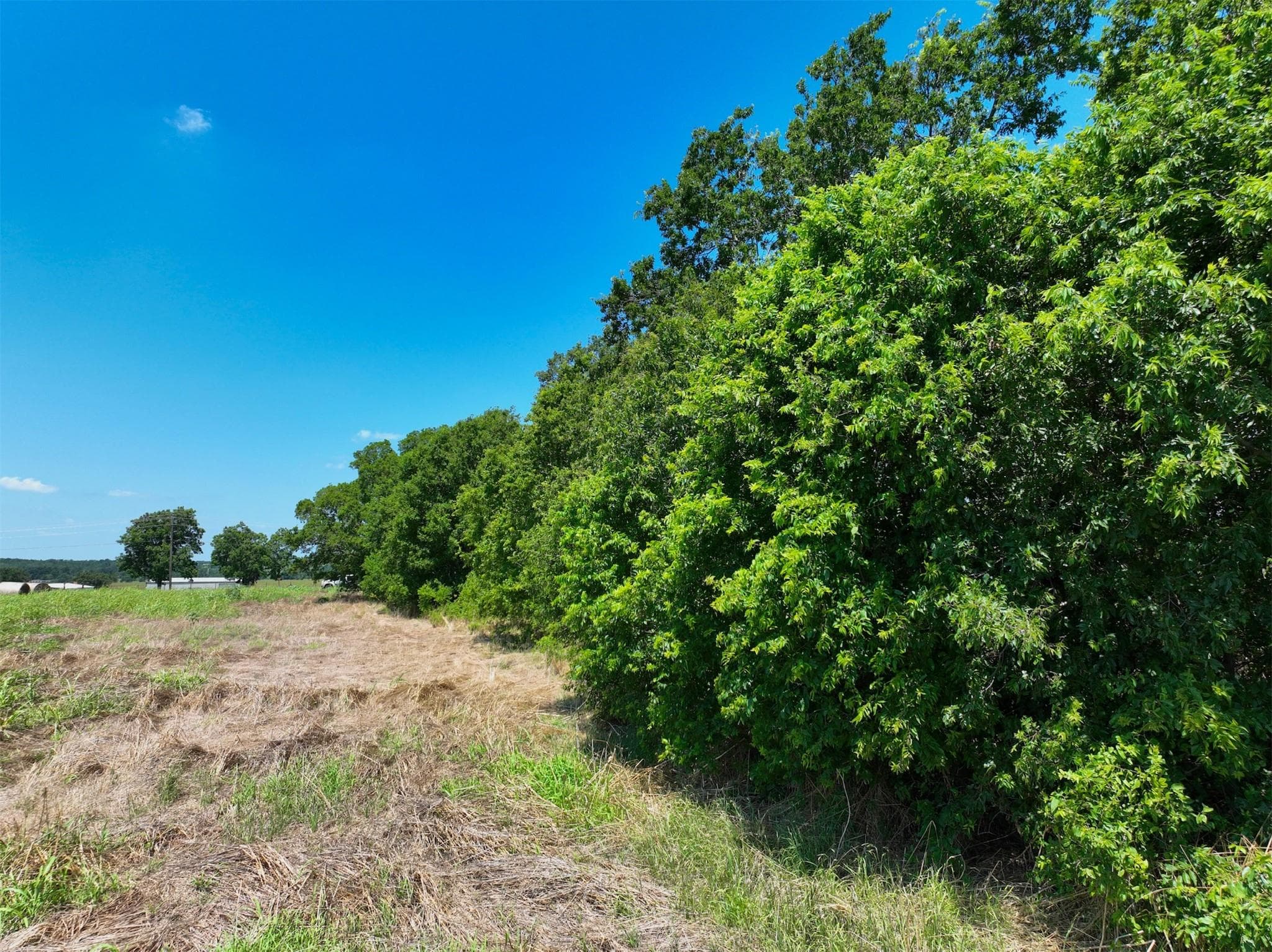 Lot 1 CR 142 Rd