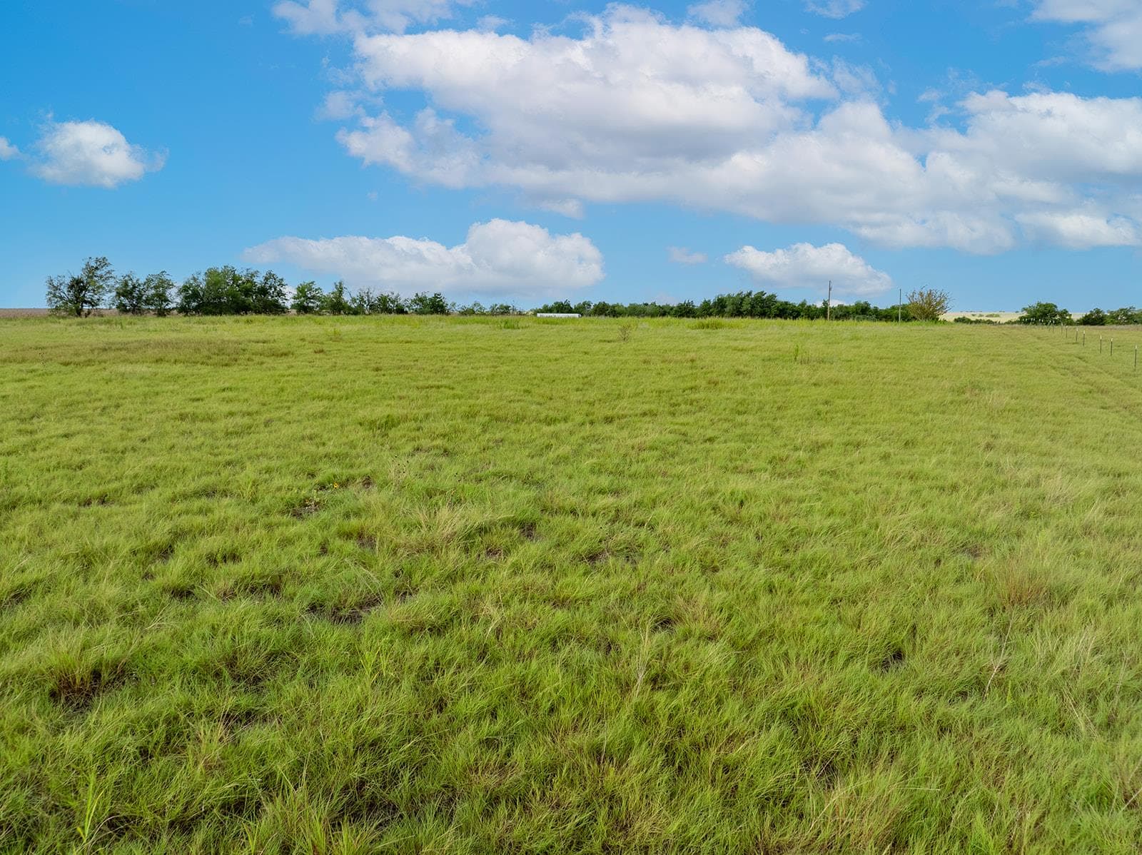 5275  County Road 424 Rd