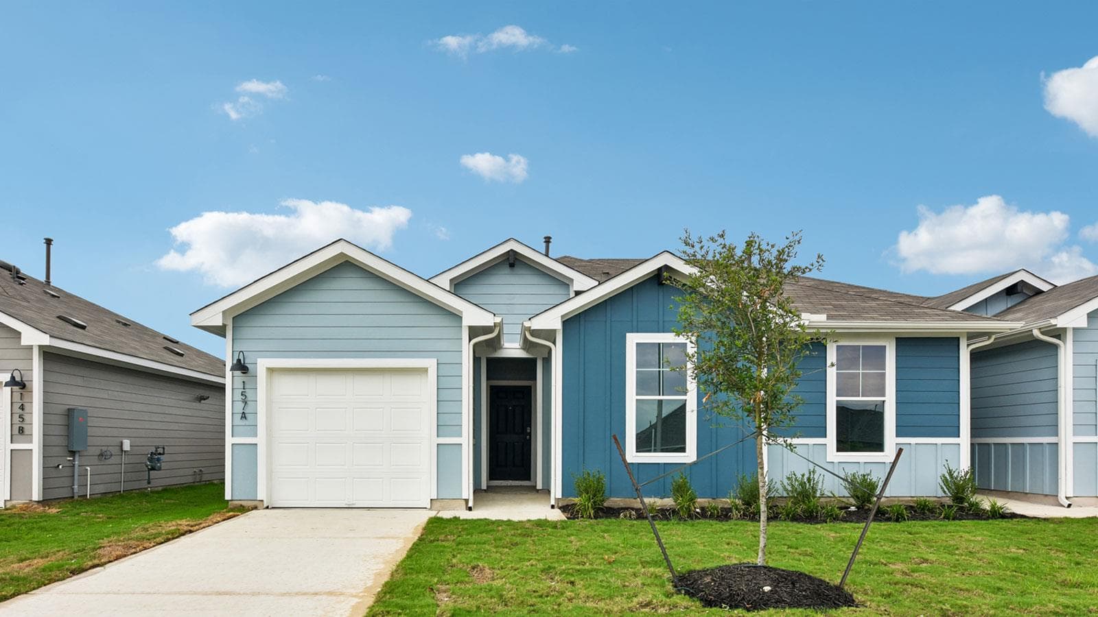 157A  Harrison Xing