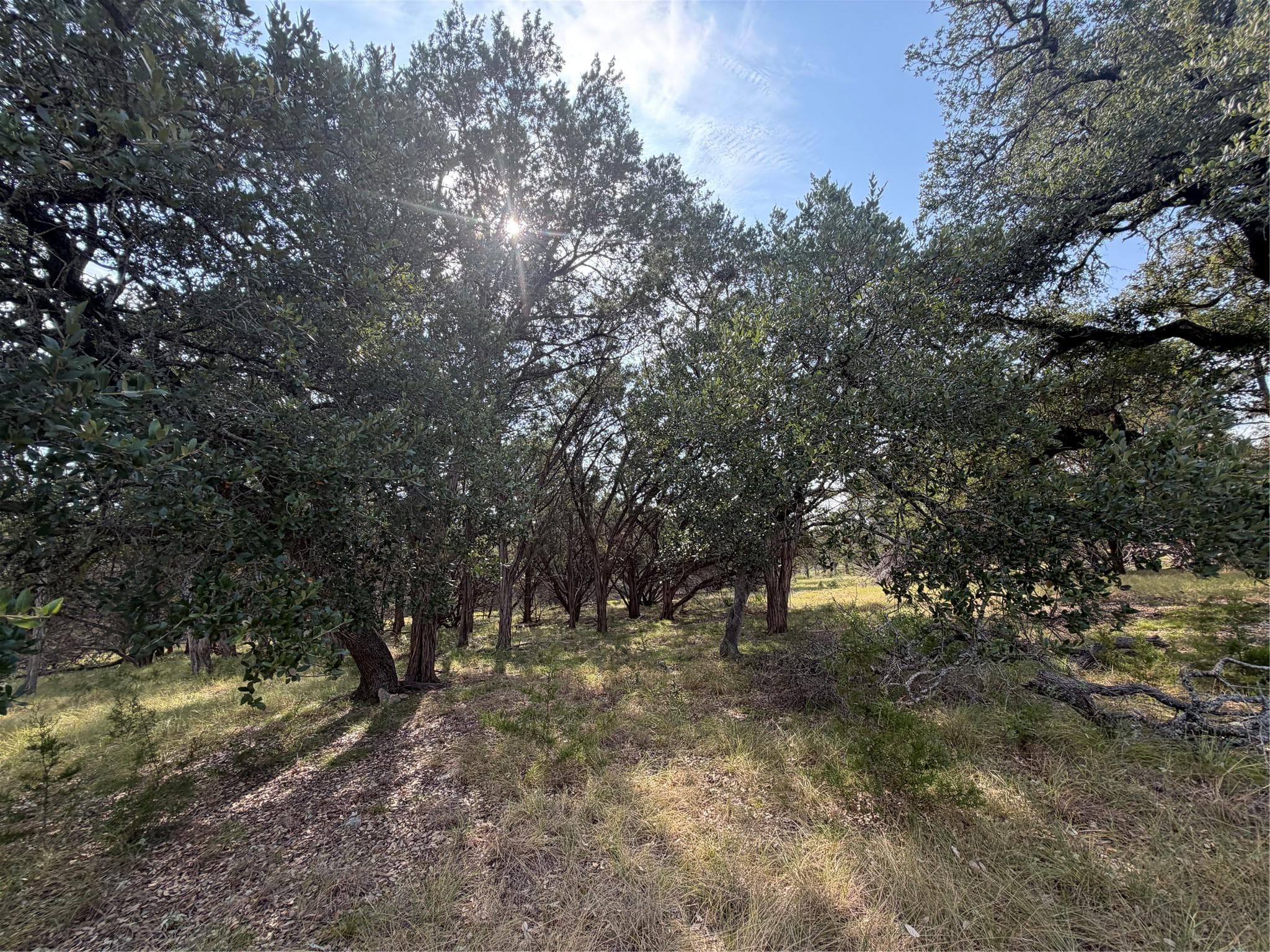 4000 River Rd
