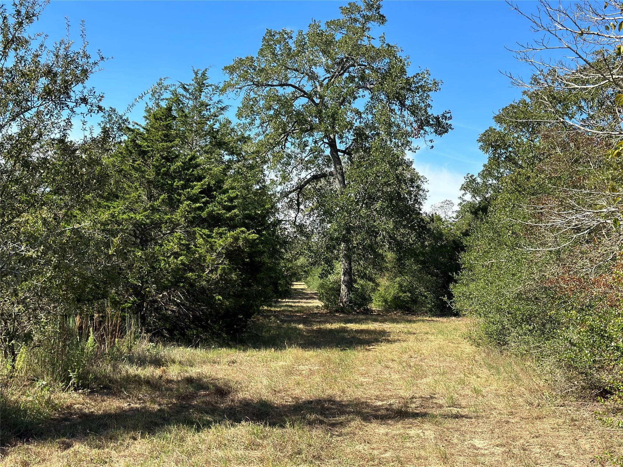 105  Colony Line Trl