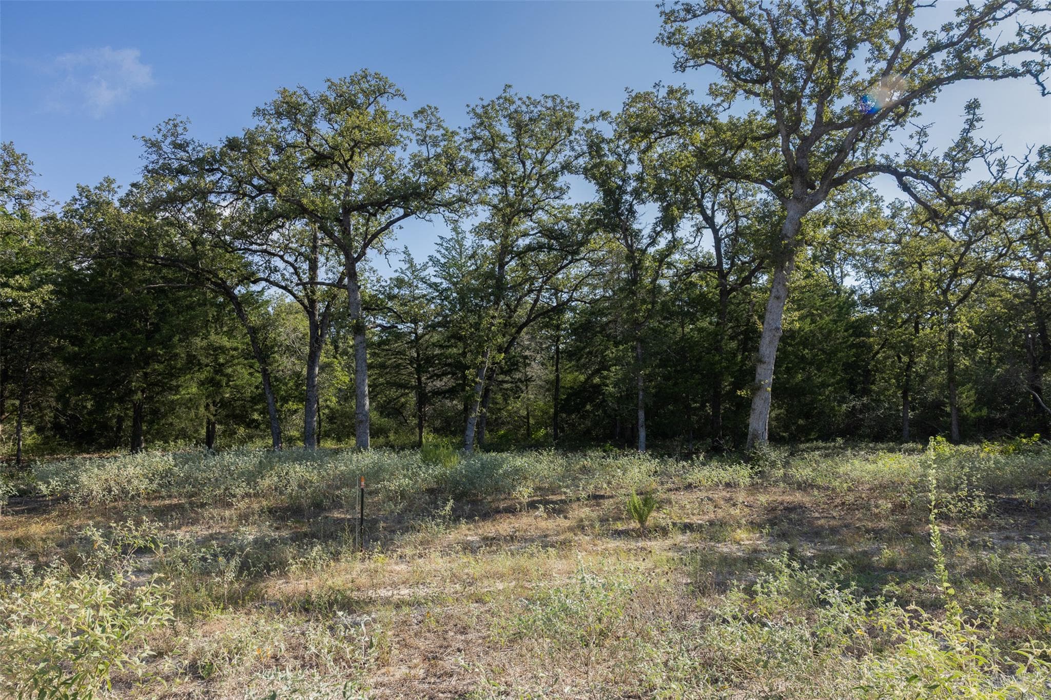 180  Autumn Oak Ct