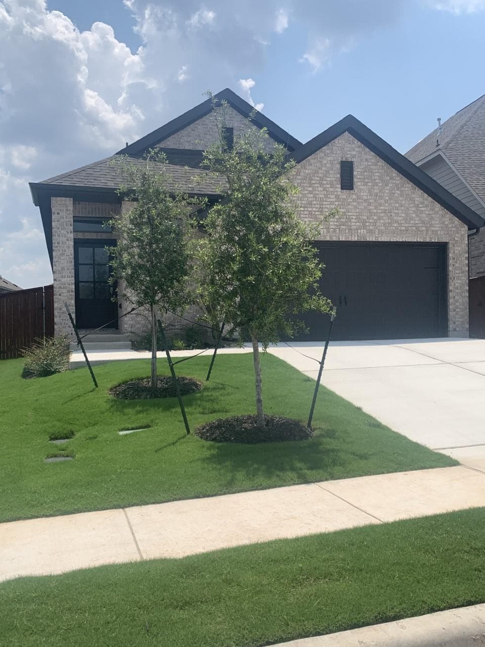 221  Rosebush Dr
