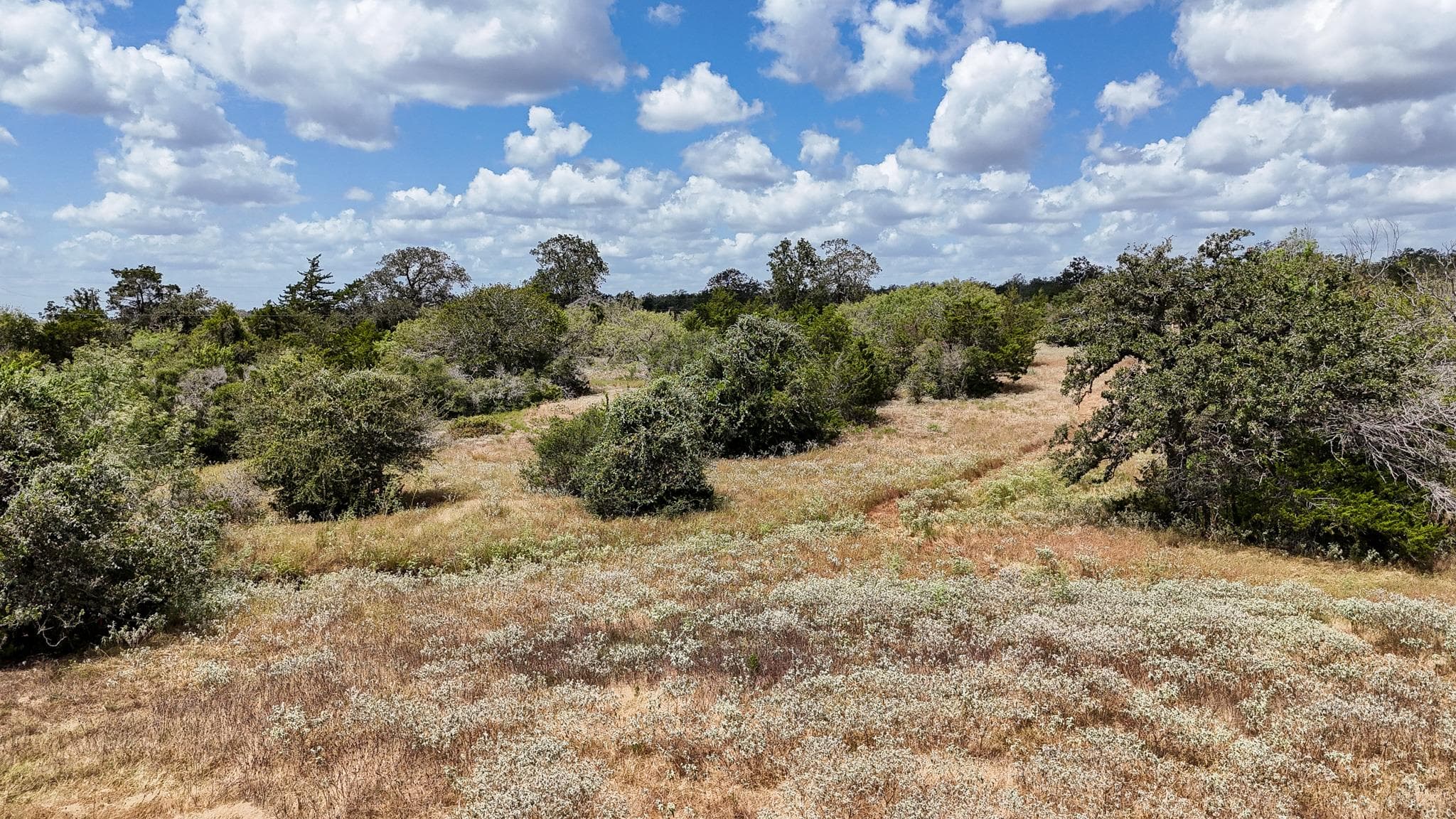 TBD  Mule Creek Rd