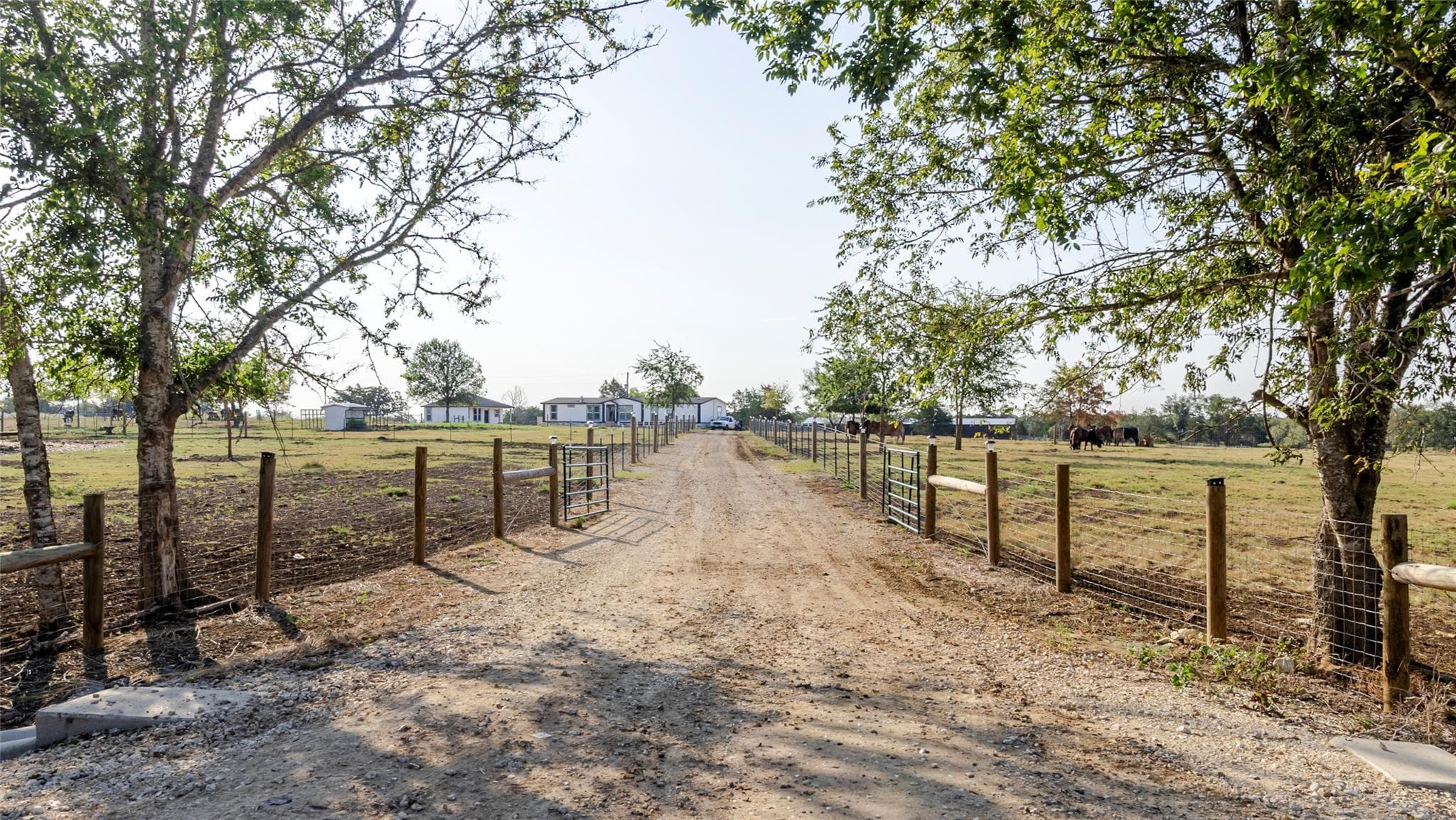 2015  TX-21 None