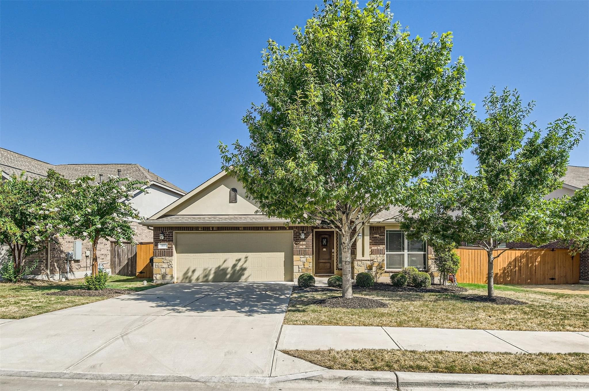 113 Lily Turf Cv