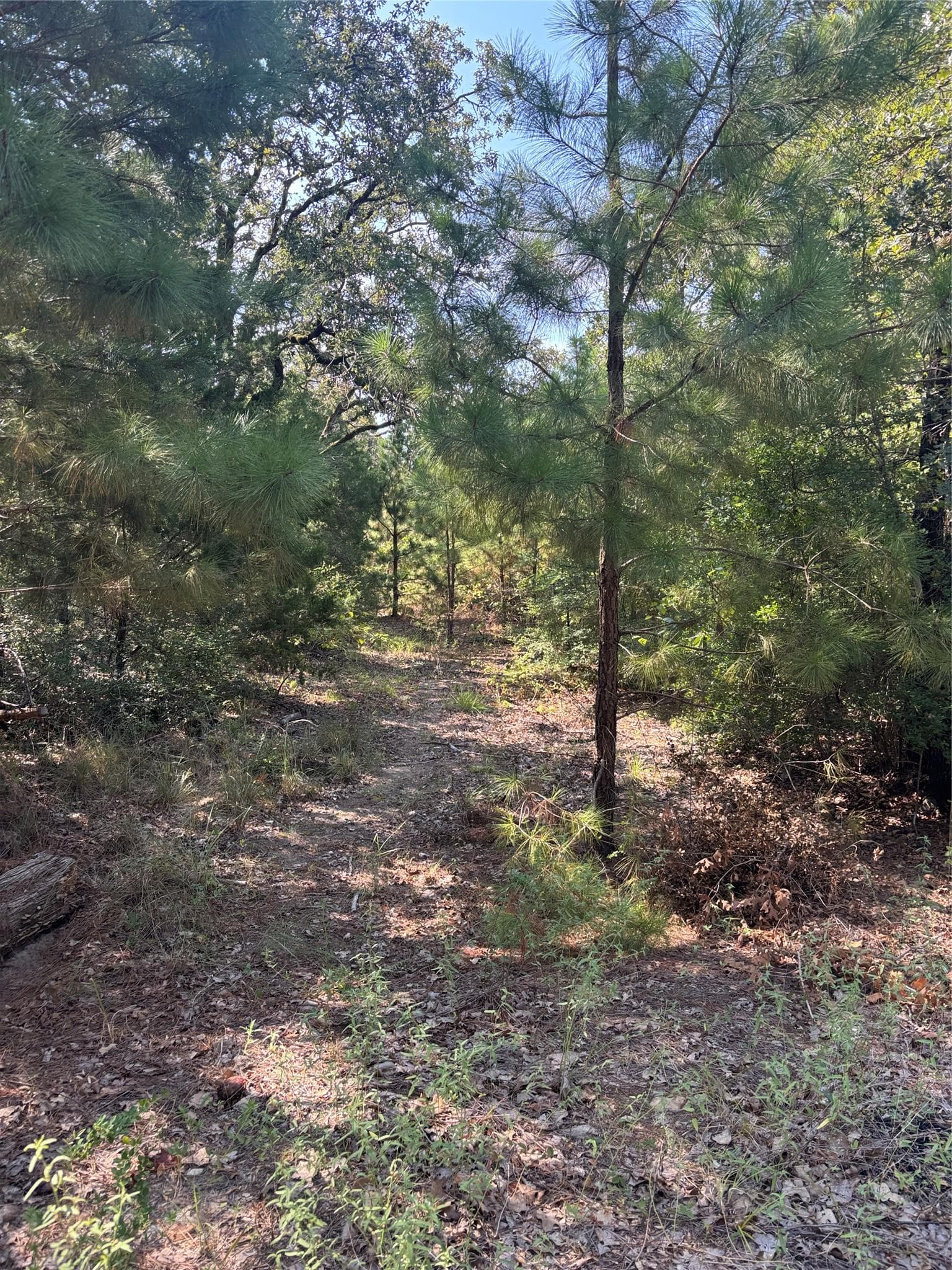 667  Paint Creek South Rd