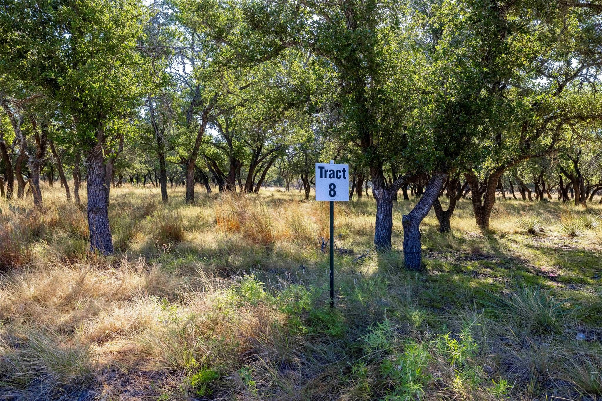 TBD  Legacy Oaks Dr