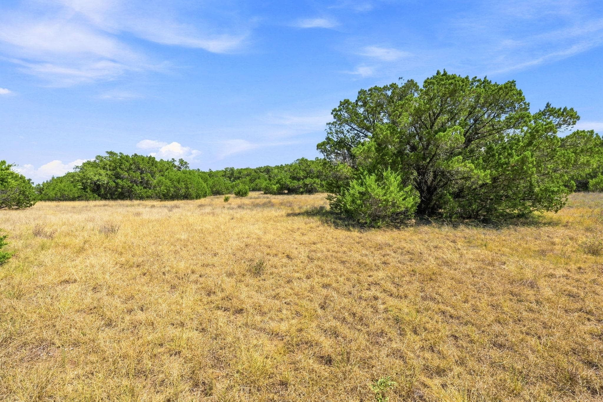 TBD Tract 1 & 2 (22.5 Ac)  Lipan Run